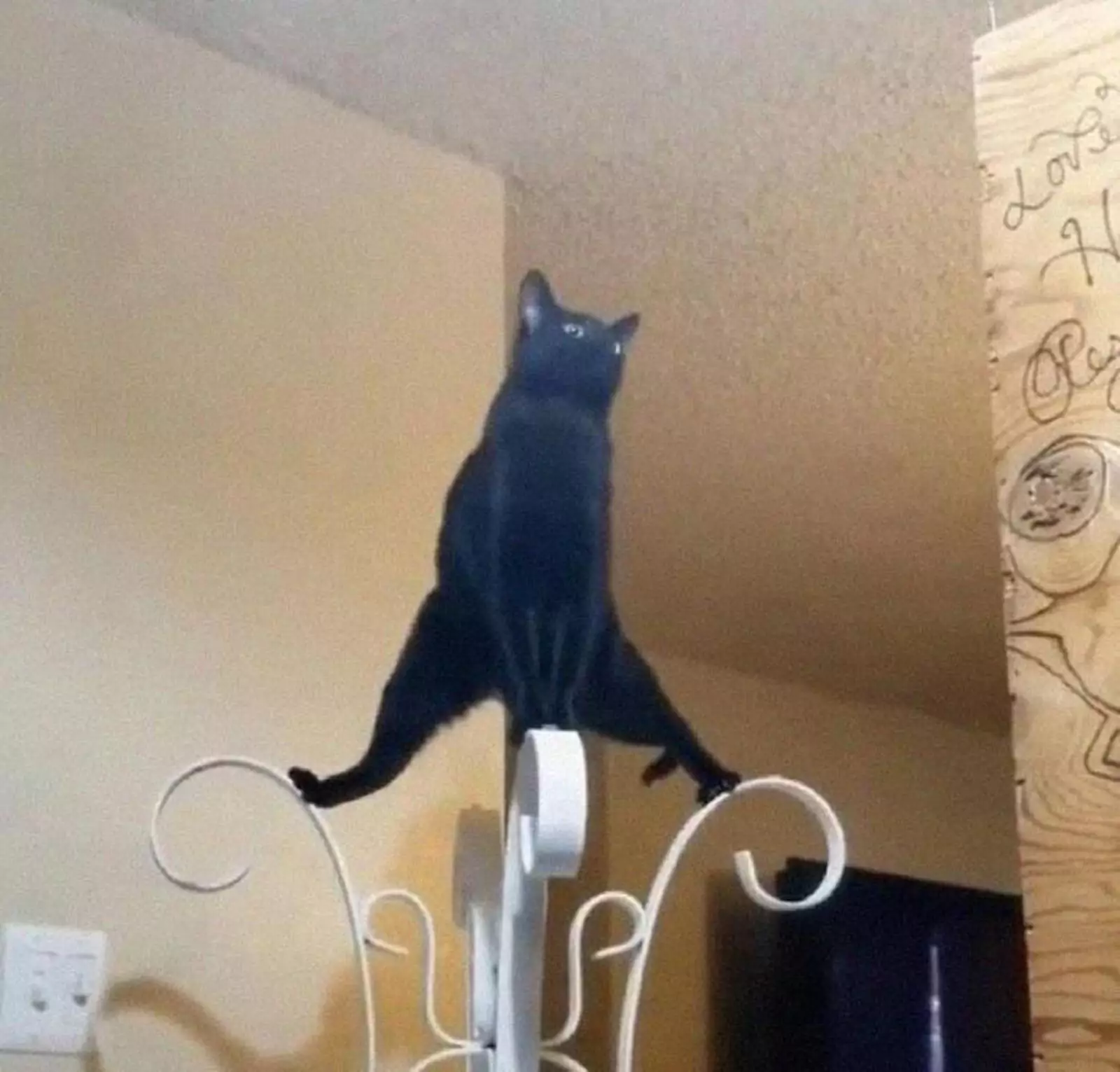 Растяжка. Растяжка.