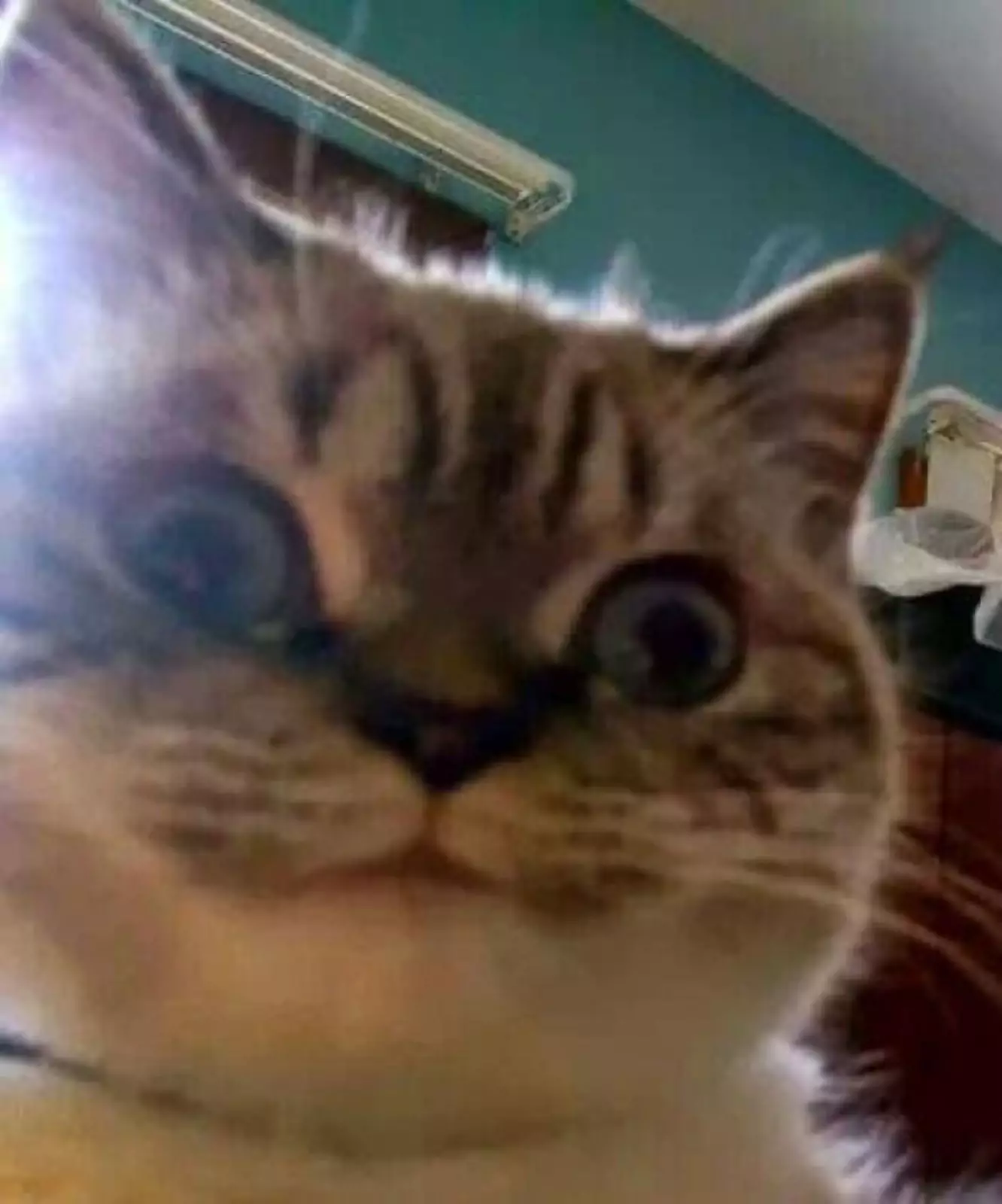 Он явно что-то задумал. Он явно что-то задумал.