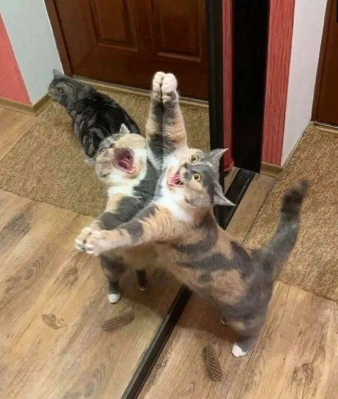 «Памагити!» «Памагити!»