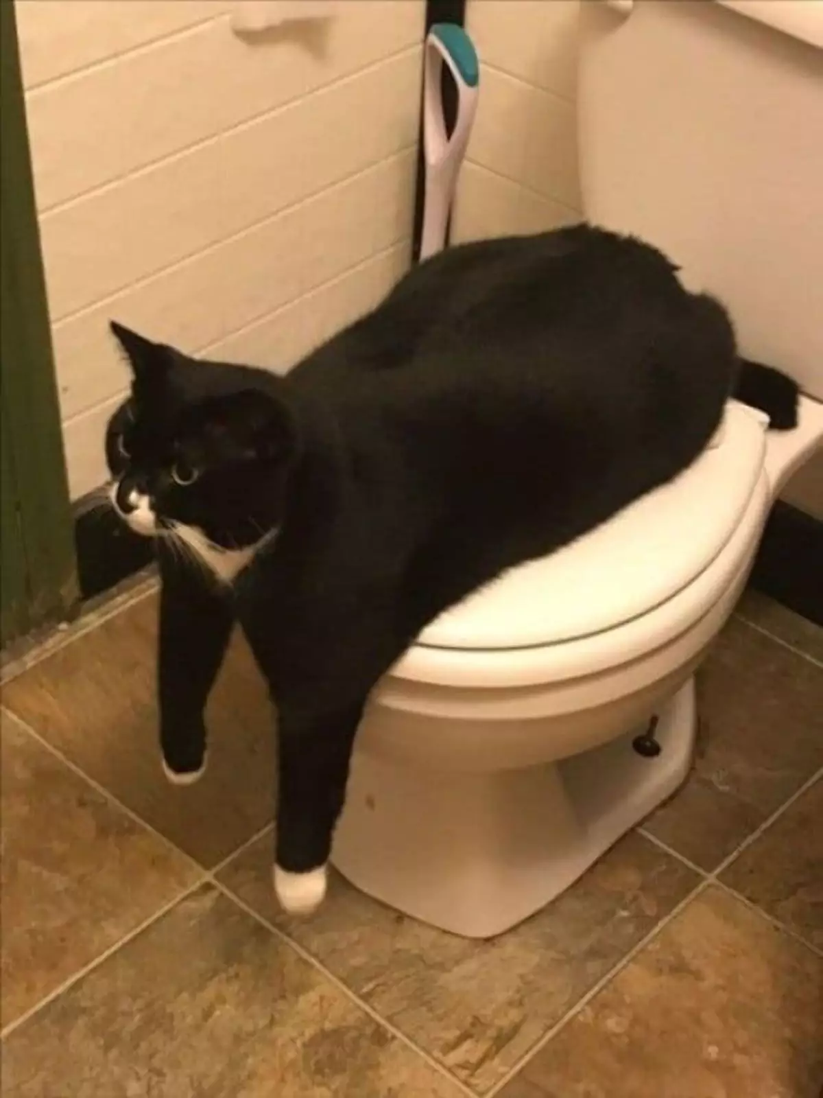 «Человек, ты можешь воспользоваться раковиной». «Человек, ты можешь воспользоваться раковиной».