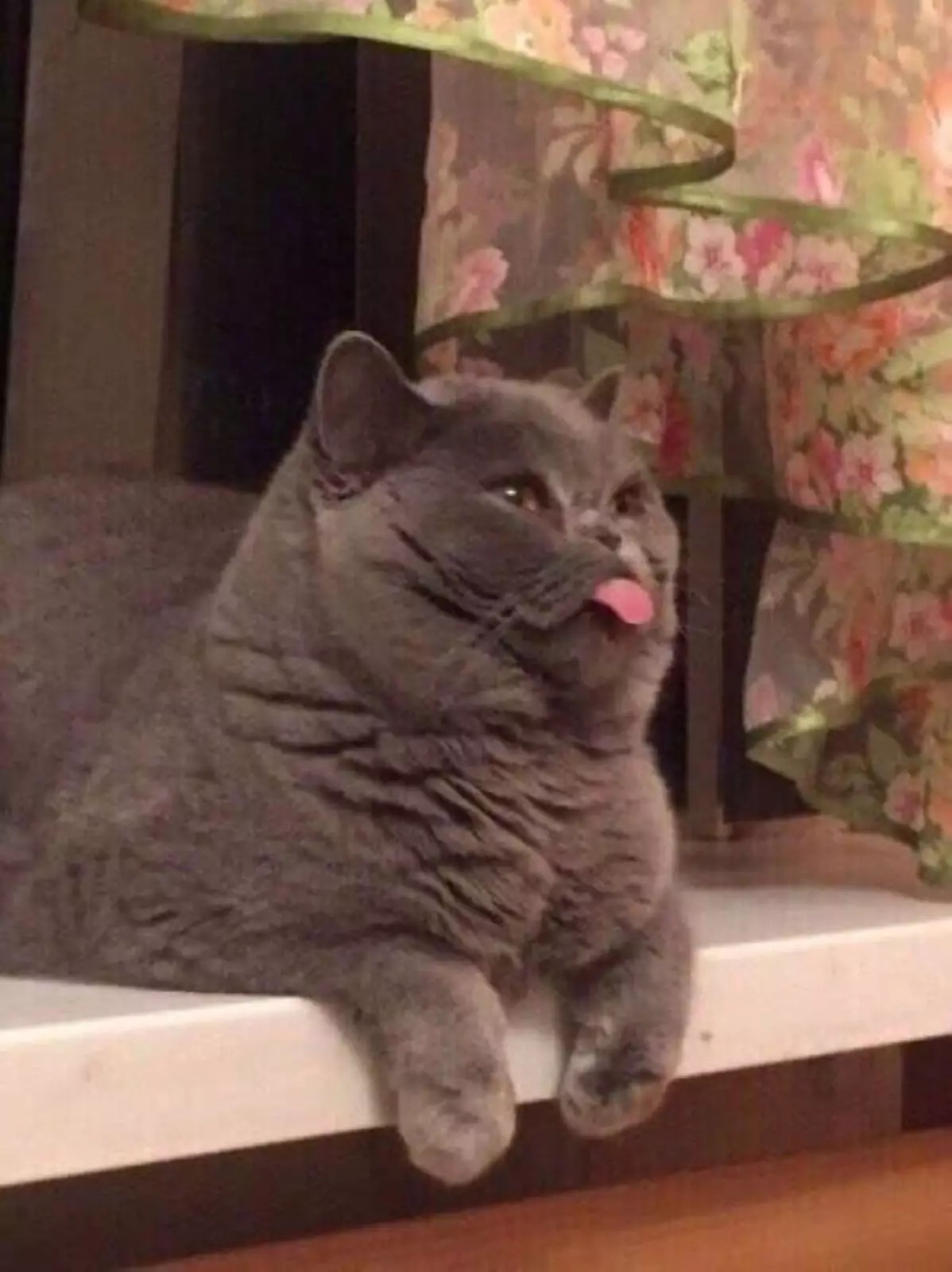 «Б-е-е-е». «Б-е-е-е».