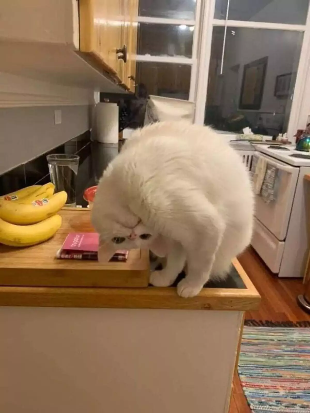 Ловкач. Ловкач.