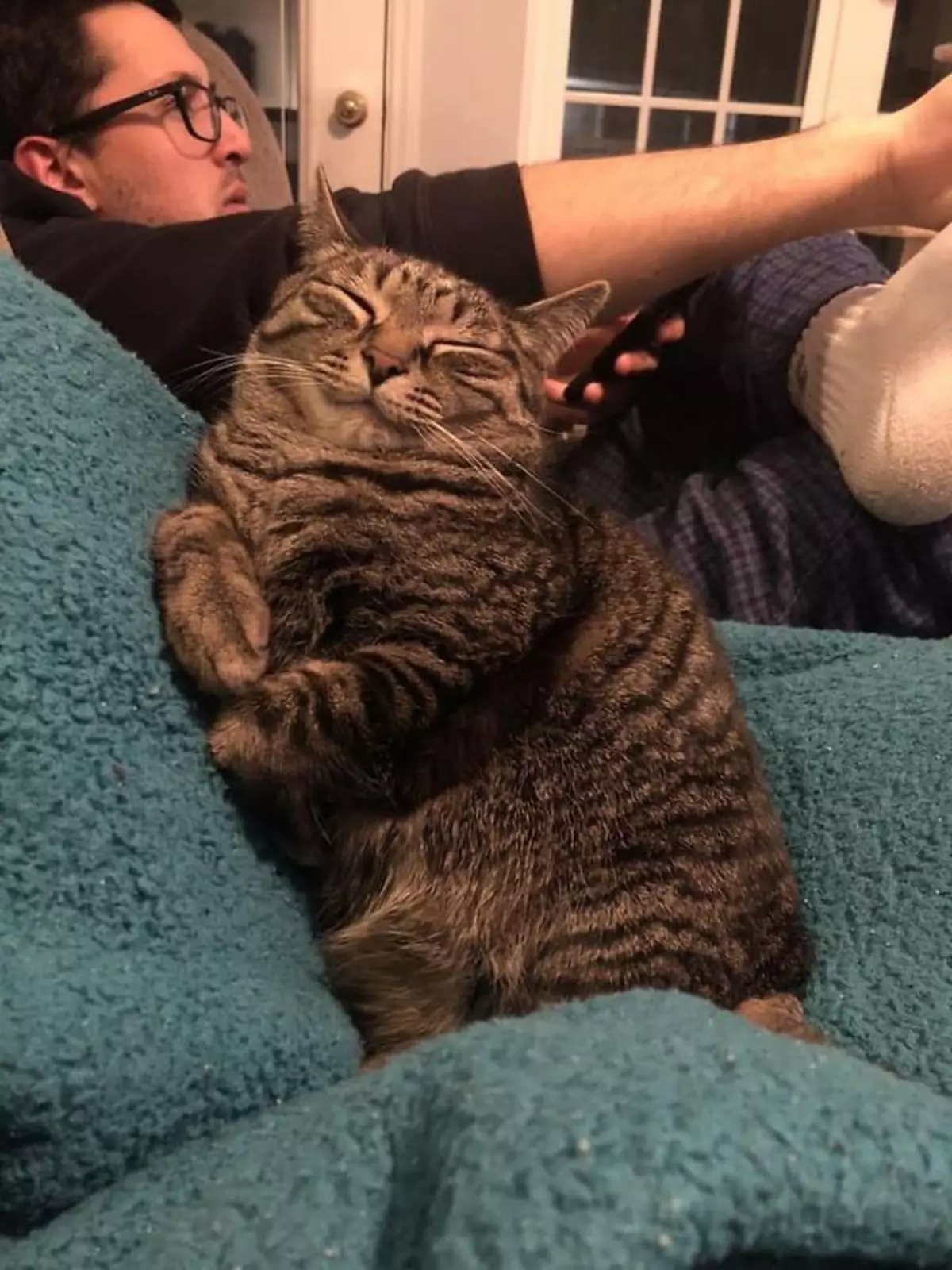 Котик явно доволен жизнью. Котик явно доволен жизнью.