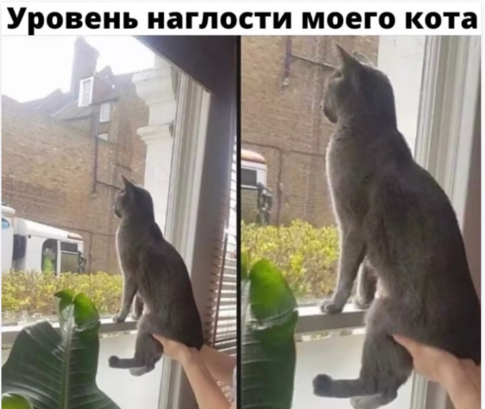 Бонус: Бонус: