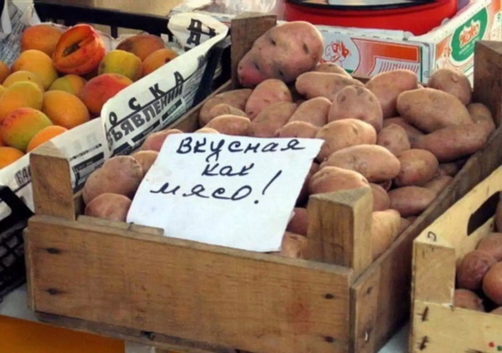 Что-то на веганском. Что-то на веганском.