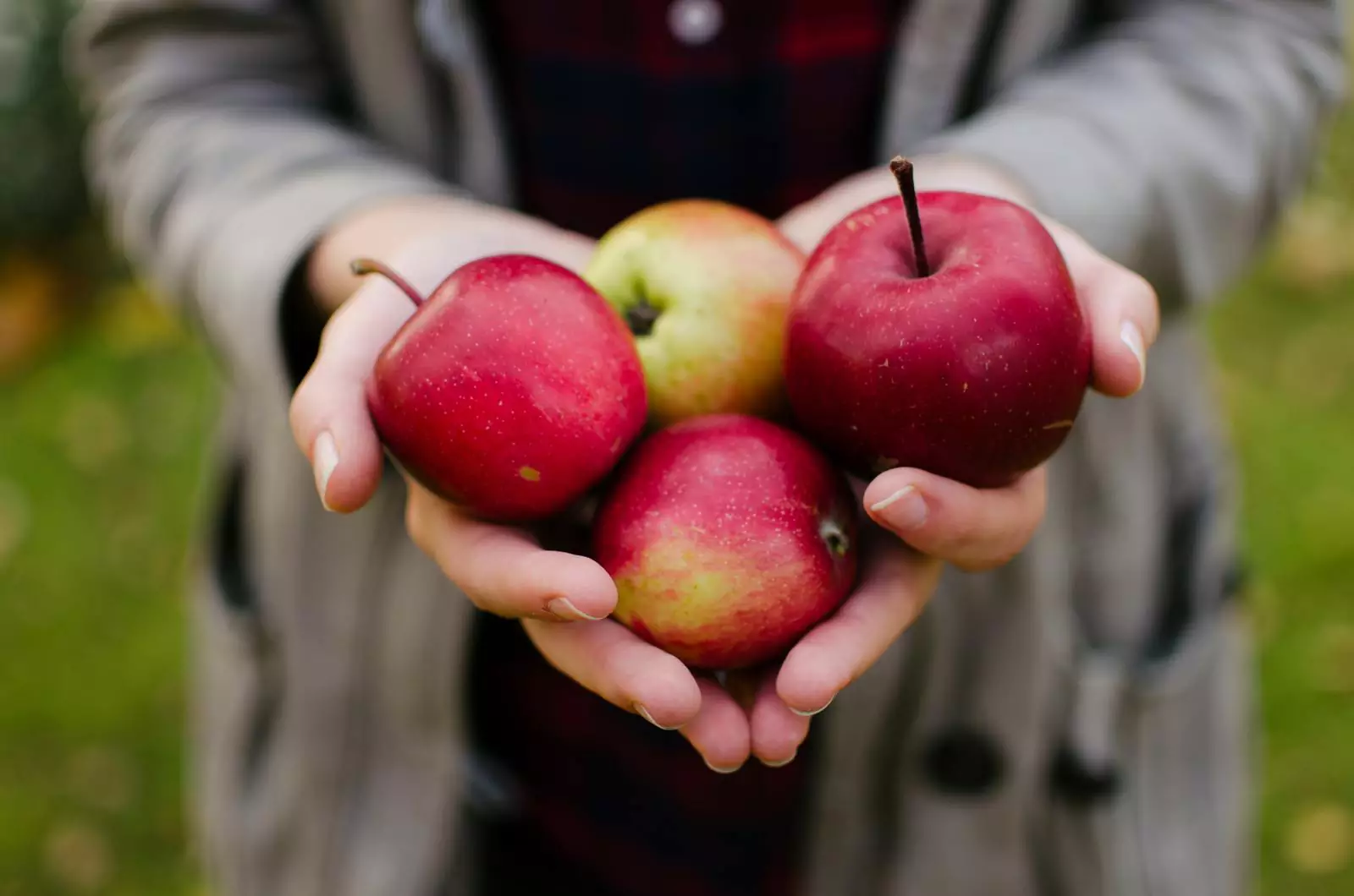 Некоторые продукты дешевле покупать только в сезон. Ягоды лучше брать летом, яблоки осенью, хурму в начале зимы и так далее.