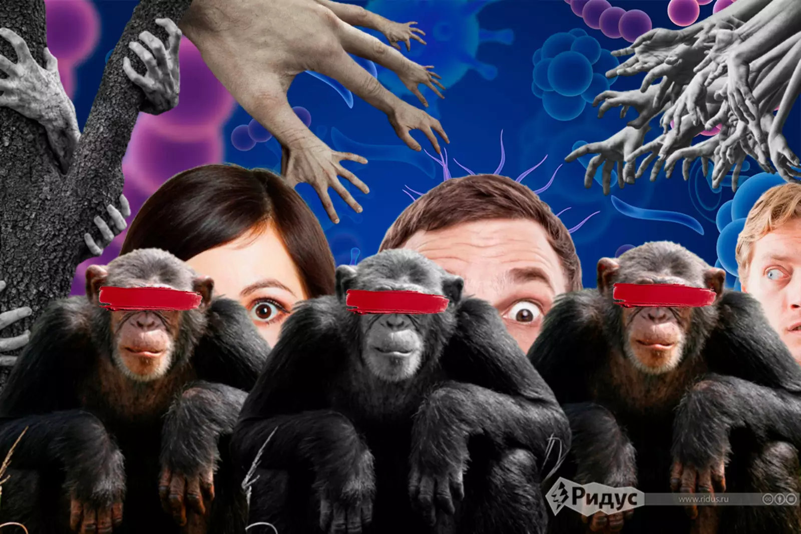 Оспа обезьян Оспа обезьян