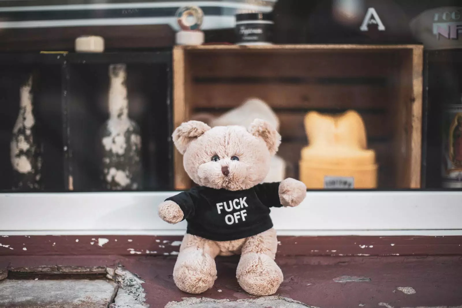 Медвежонок в футболке с ругательством.