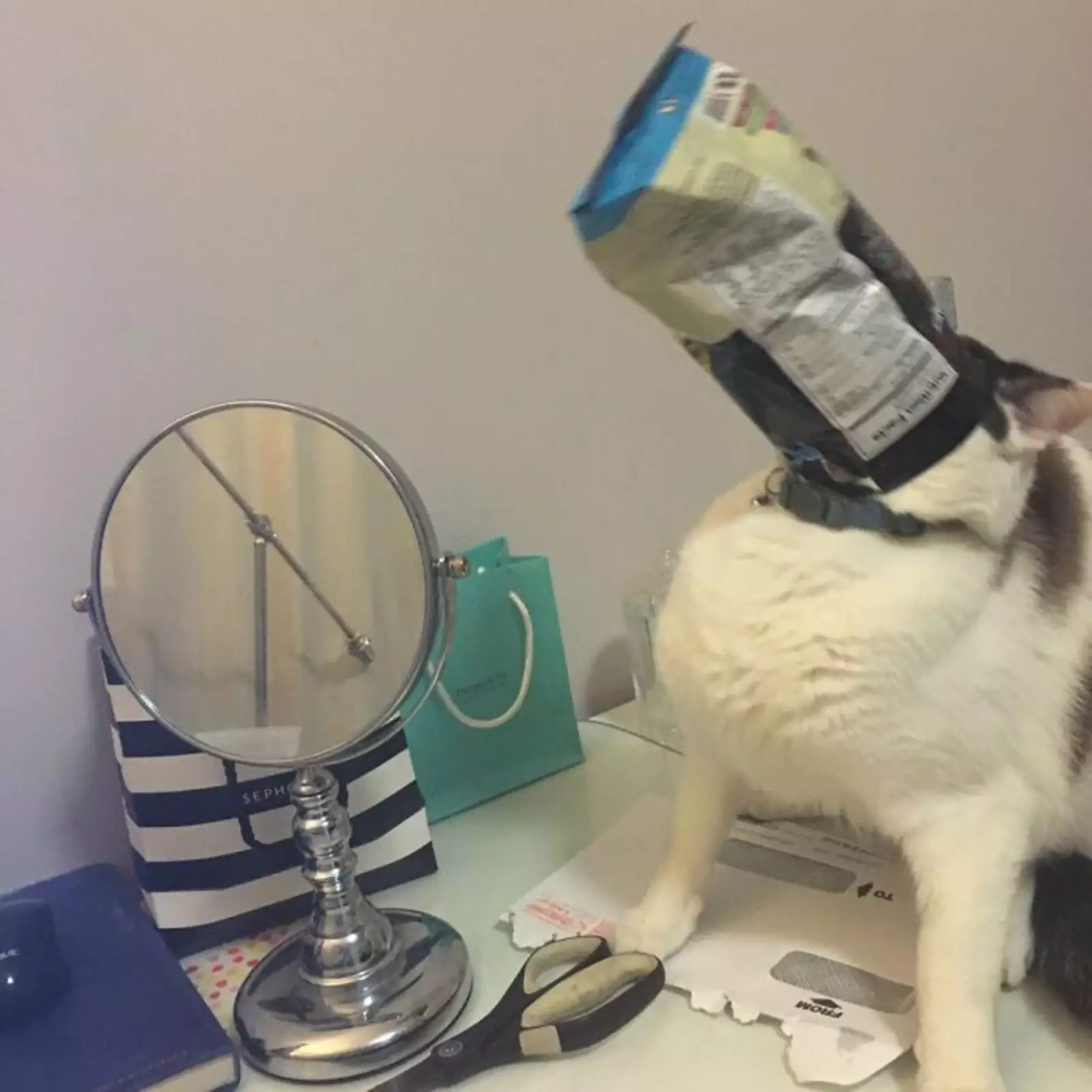 Карма! Карма!