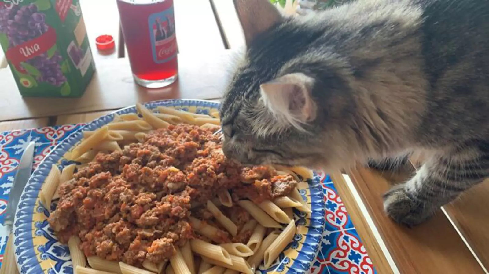 Проверка качества. Проверка качества.