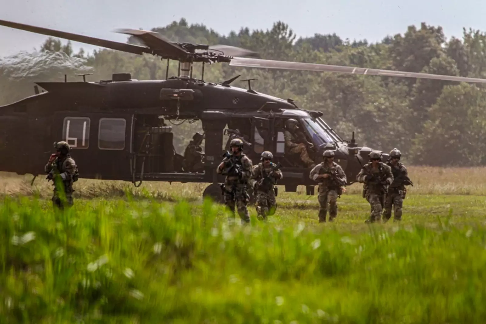 Зелёные береты Зелёные береты