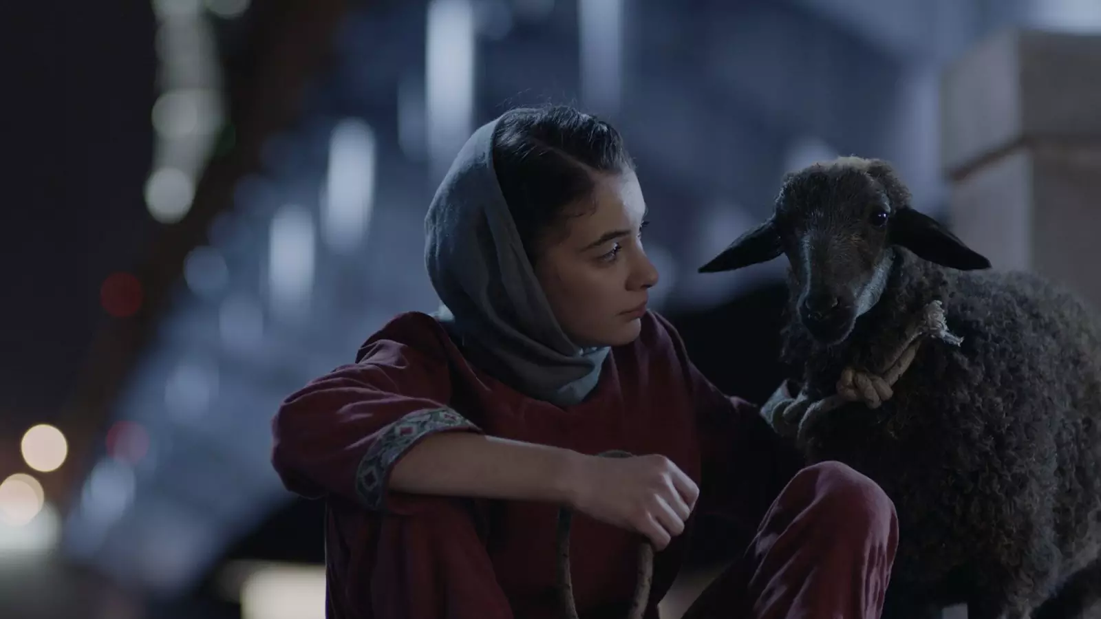 Актриса из Грузии Ана Джавахишвили и овца Зинаида из Москвы