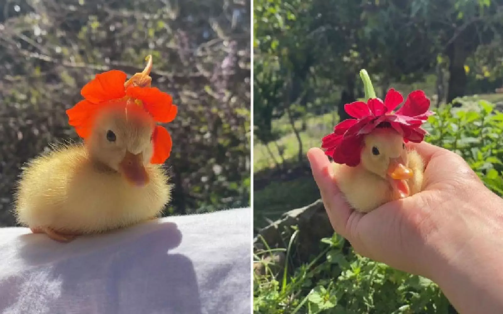 Ну разве не милашка? Ну разве не милашка?