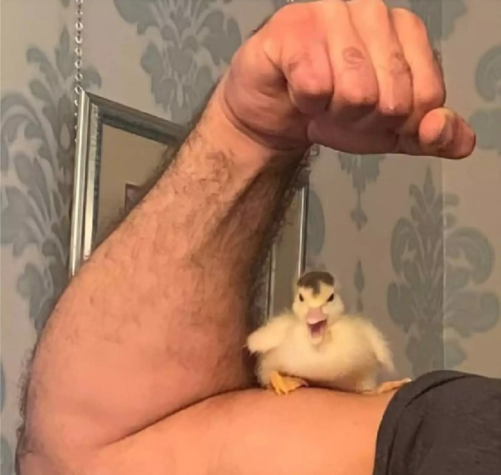 Силач. Силач.