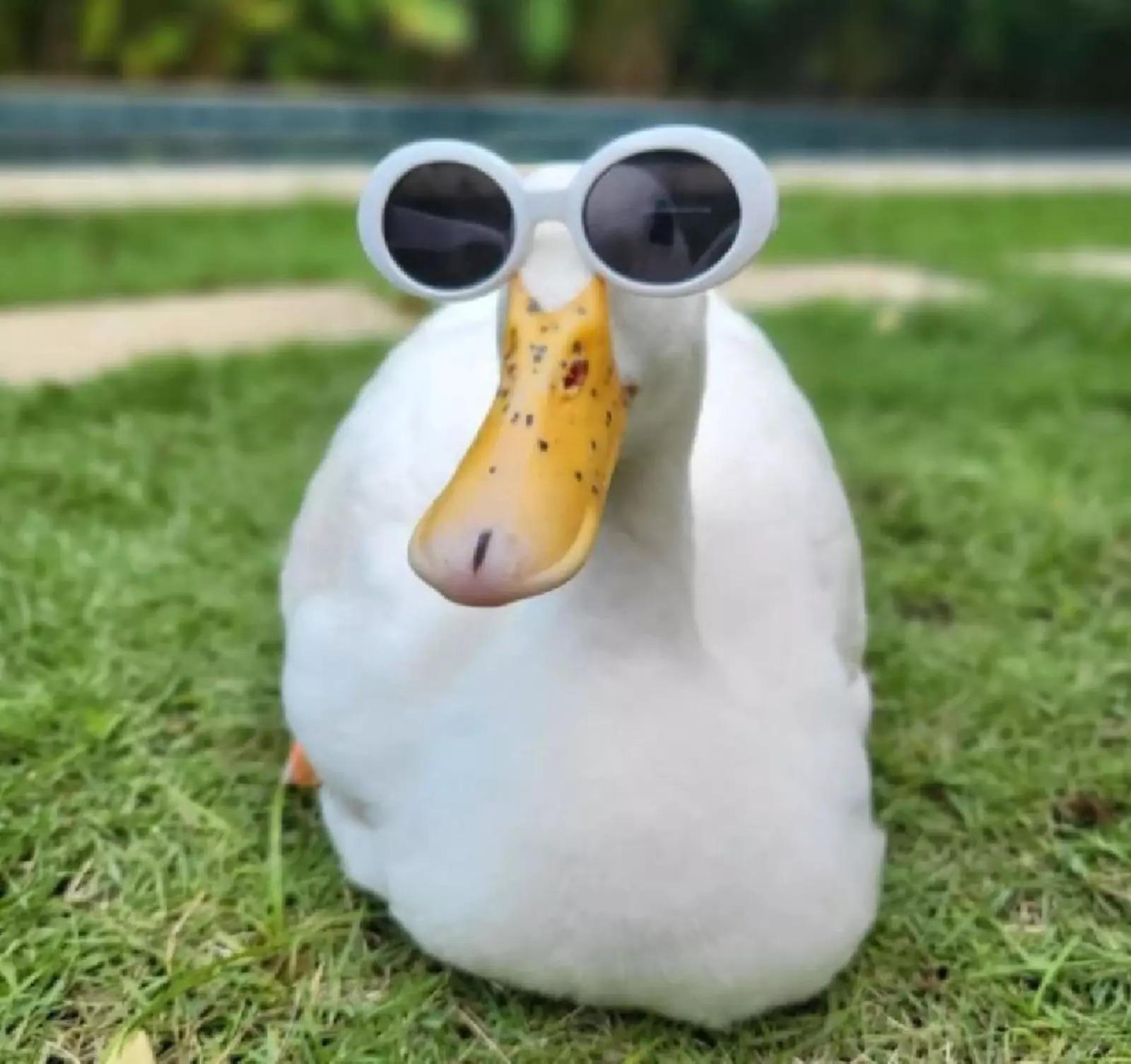 А ей идут очки. А ей идут очки.