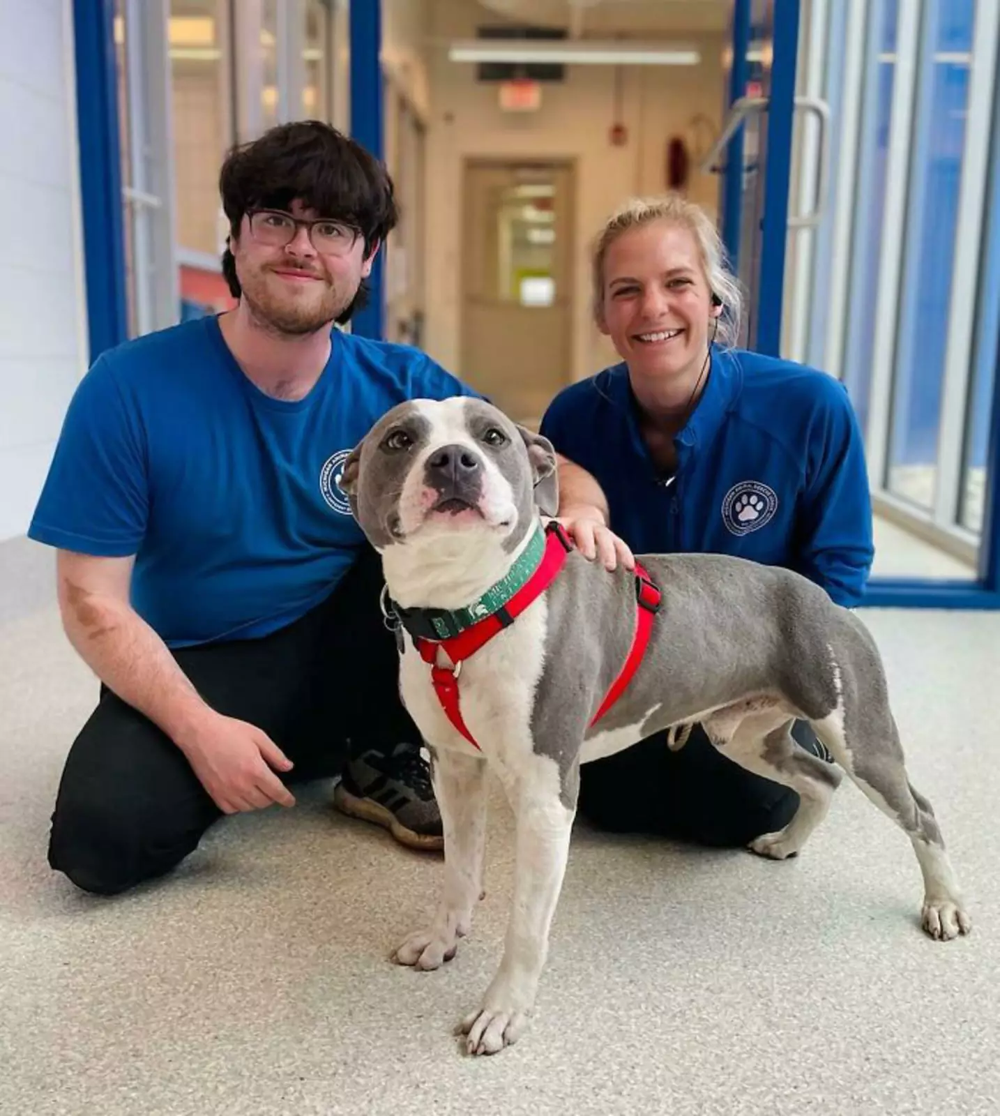 «Олли „удочерили“». «Олли „удочерили“».