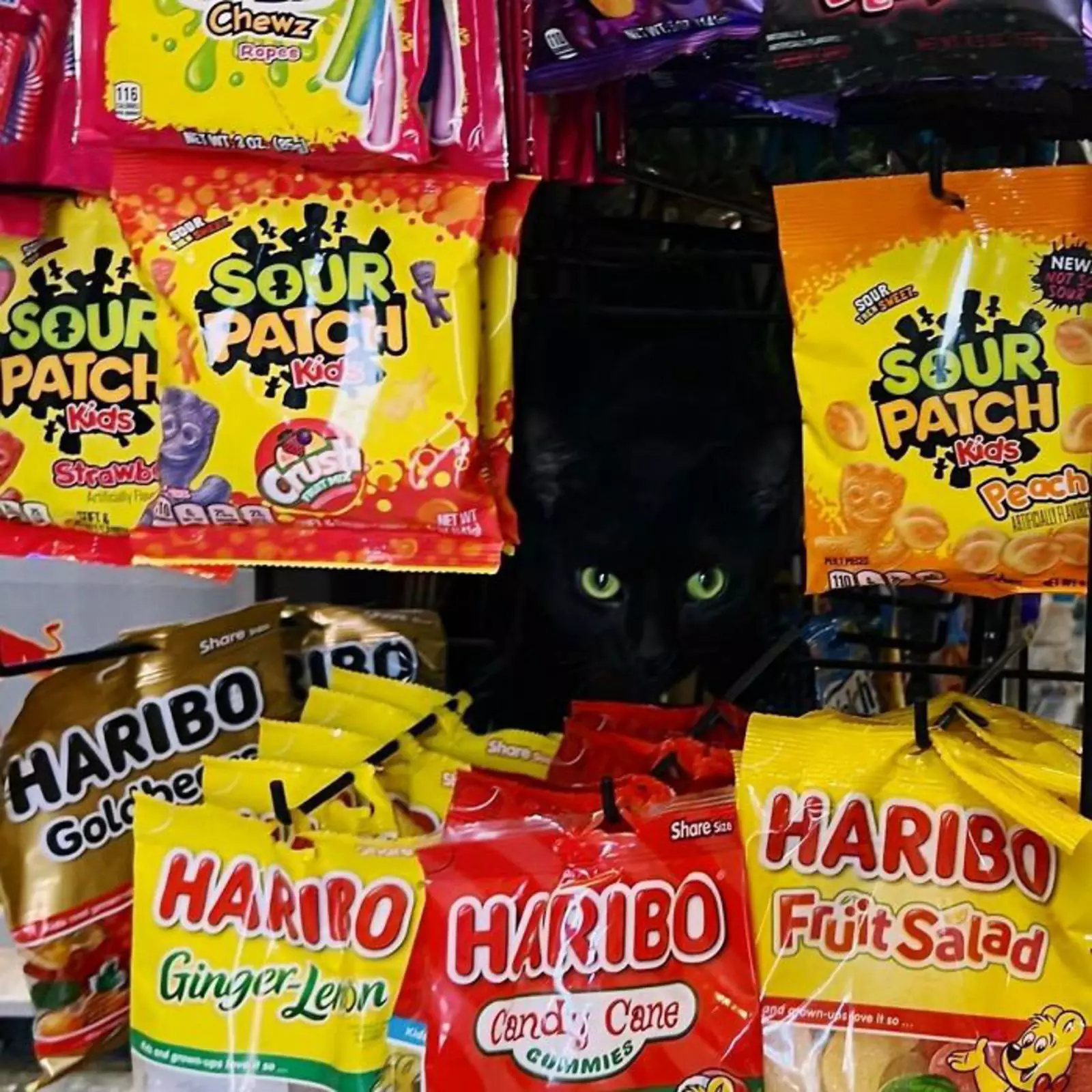 Вместо скрытой камеры. Вместо скрытой камеры.