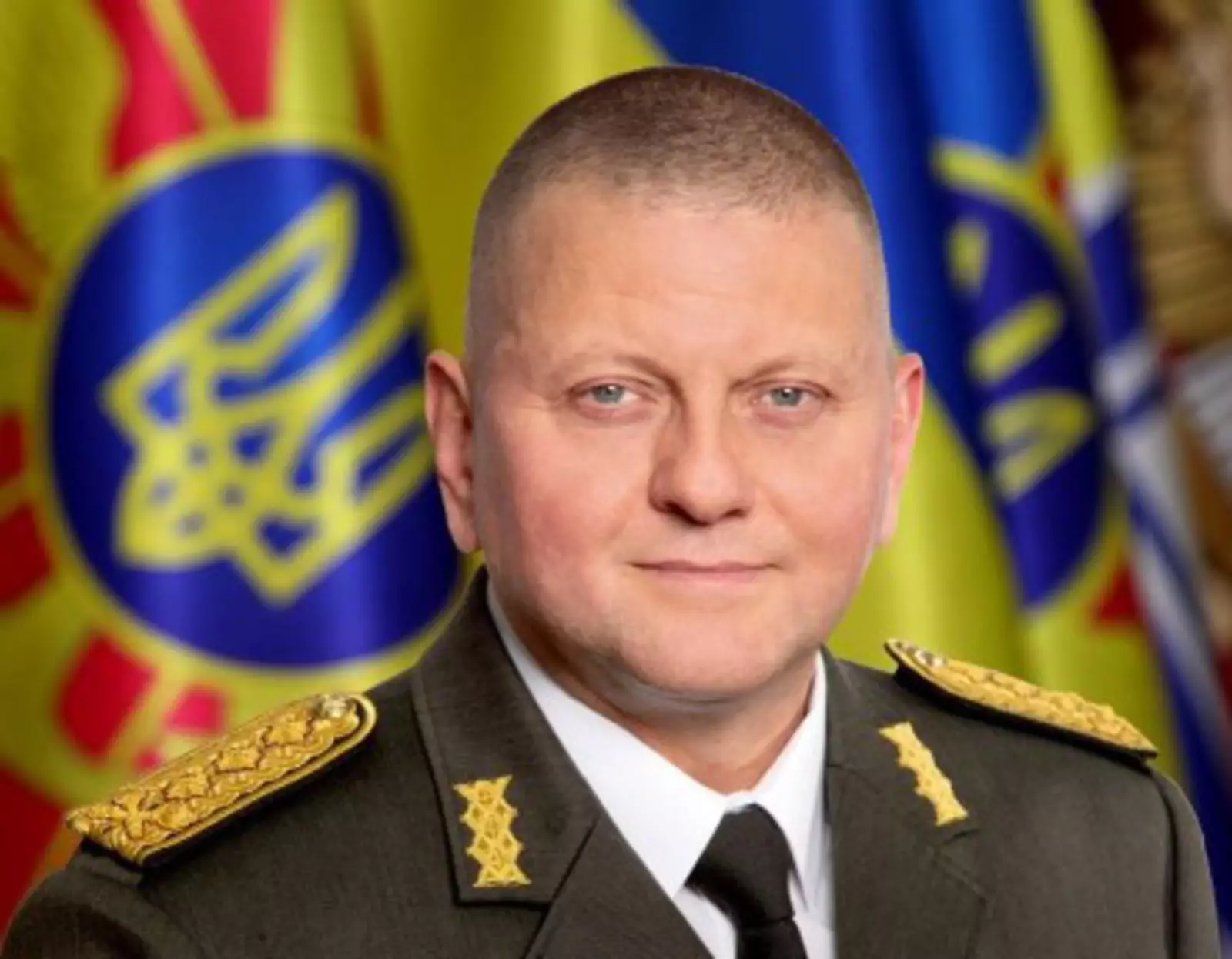 Украинский генерал командующий армией. Главком ВСУ Залужный. Генерал ВСУ Залужный. Залужный главнокомандующий ВСУ.