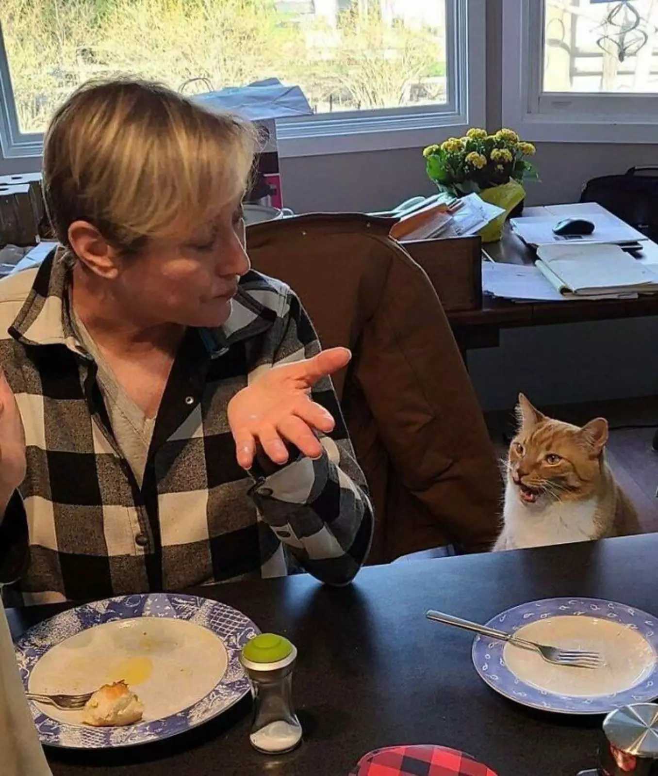 «Моя мама и кот Фред ссорятся во время обеда».