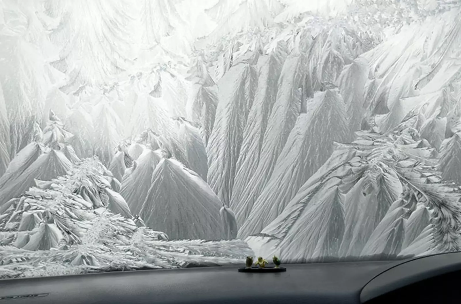 Замерзшее лобовое стекло. Замерзшее лобовое стекло.