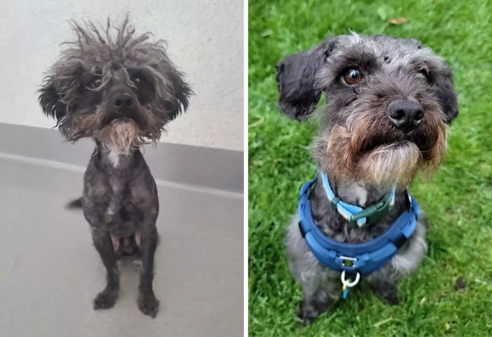 Преобразилась благодаря любви. Преобразилась благодаря любви.