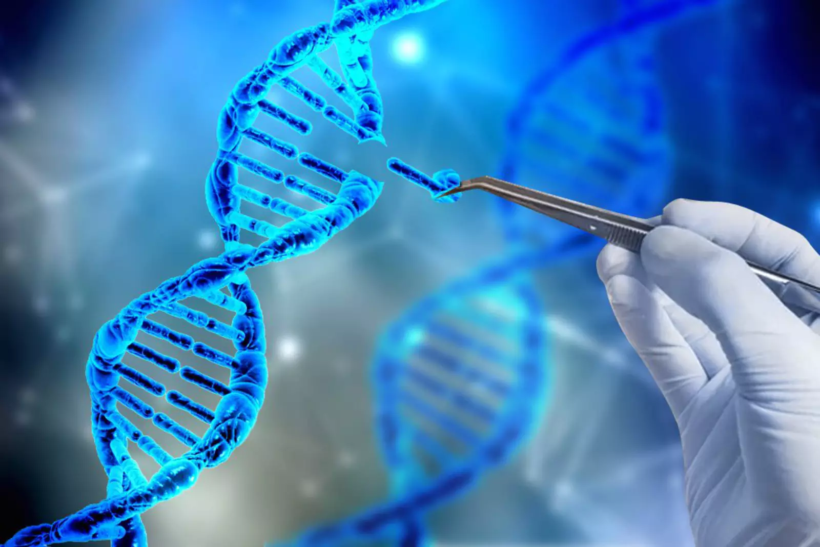Наследственные заболевания мозга. Генетика CRISPR. Генетическая инженерия и генная инженерия. Генная инженерия CRISPR. Технологии CRISPR редактирования генов.