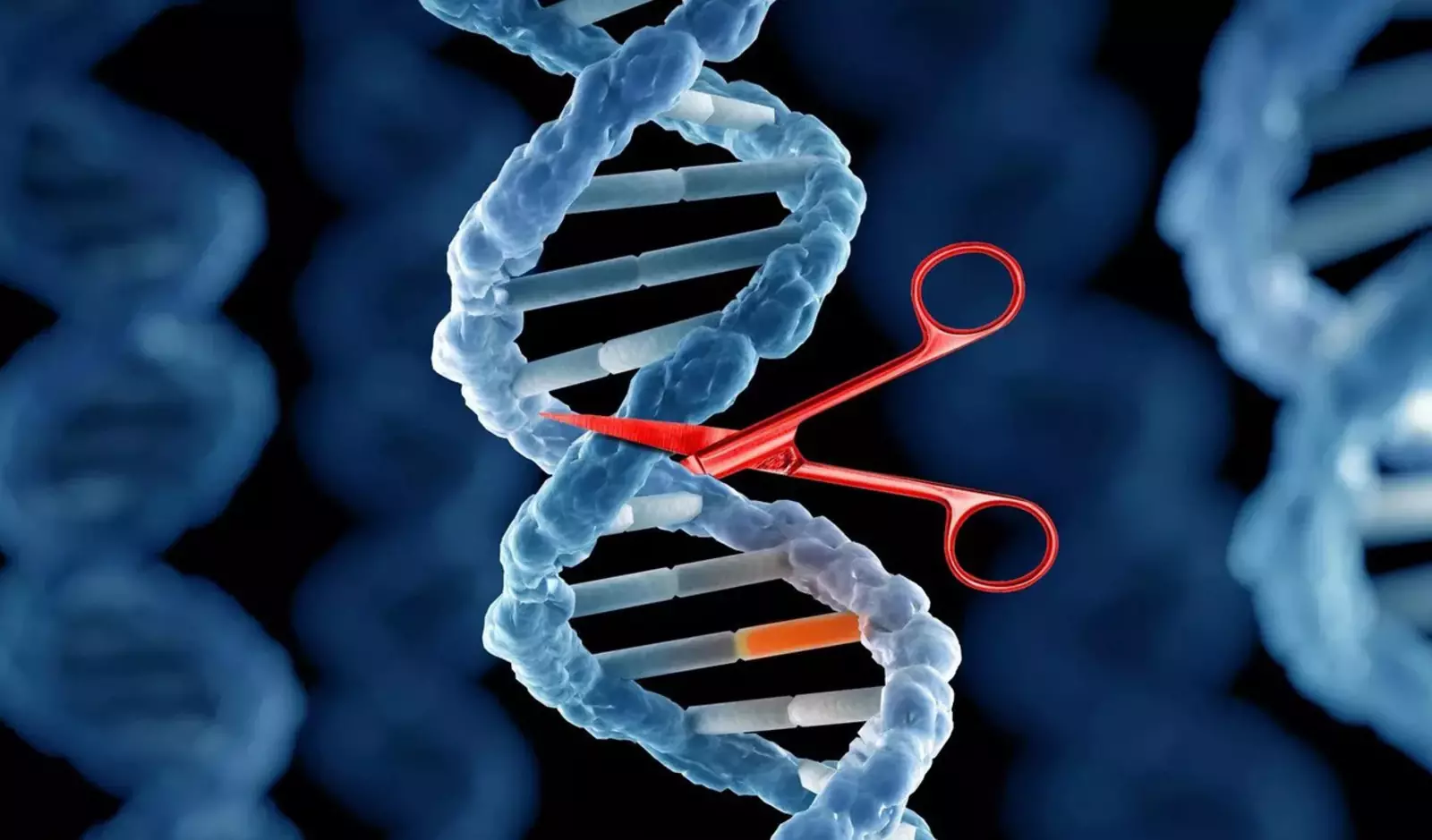 Ген биология 9. Технология редактирования генов CRISPR/cas9. CRISPR/cas9 редактирование генов. Редактирование генома с CRISPR/cas9. Генетика CRISPR.