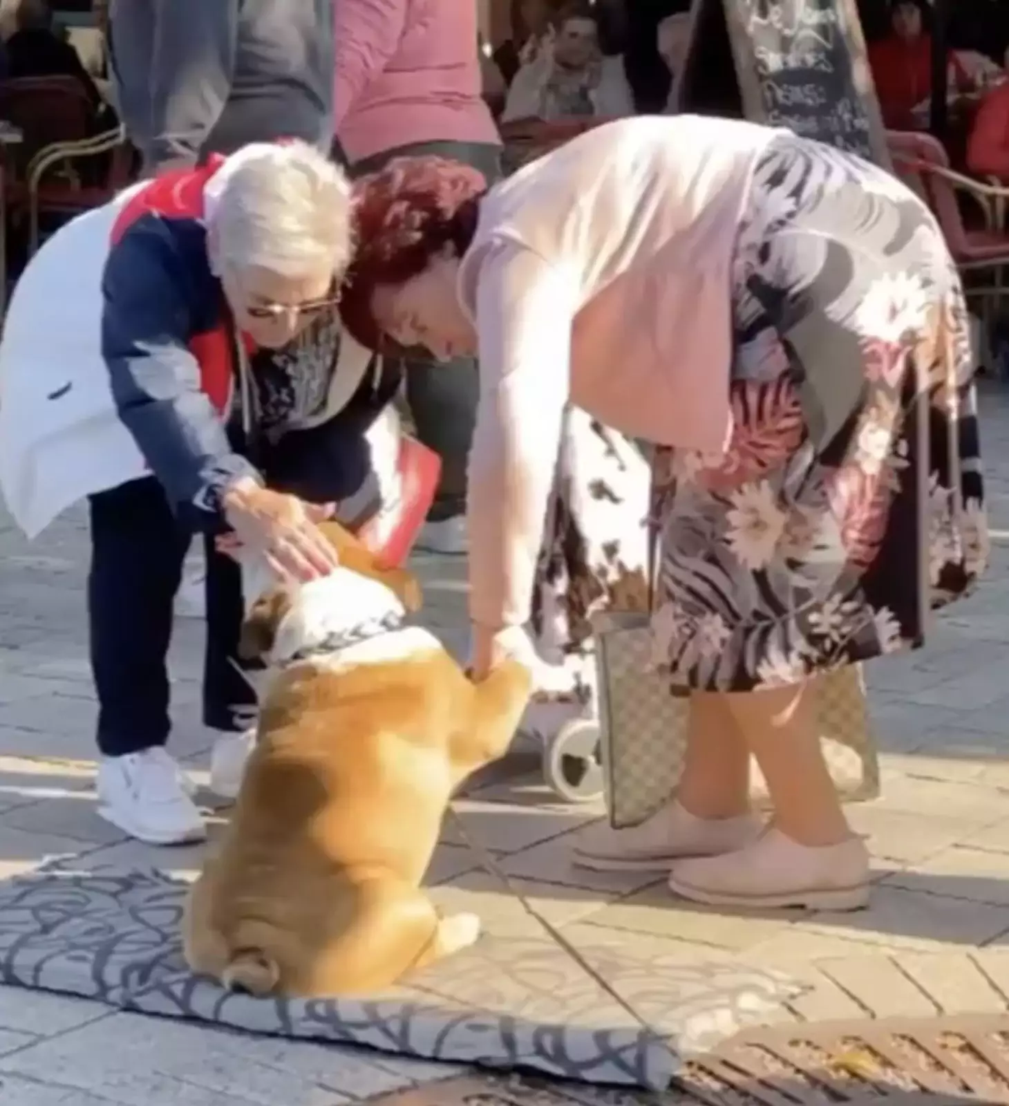 Нельсон любит общаться с незнакомцами.