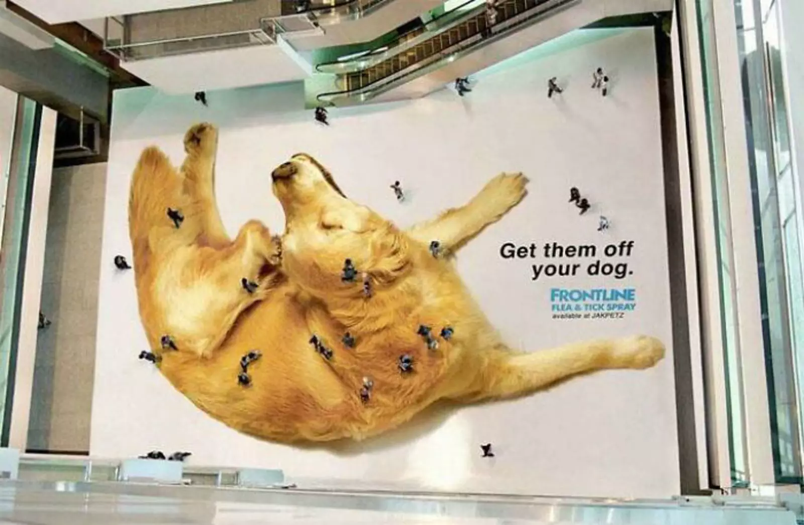 Реклама с использованием пешеходов в качестве клещей на собаке.