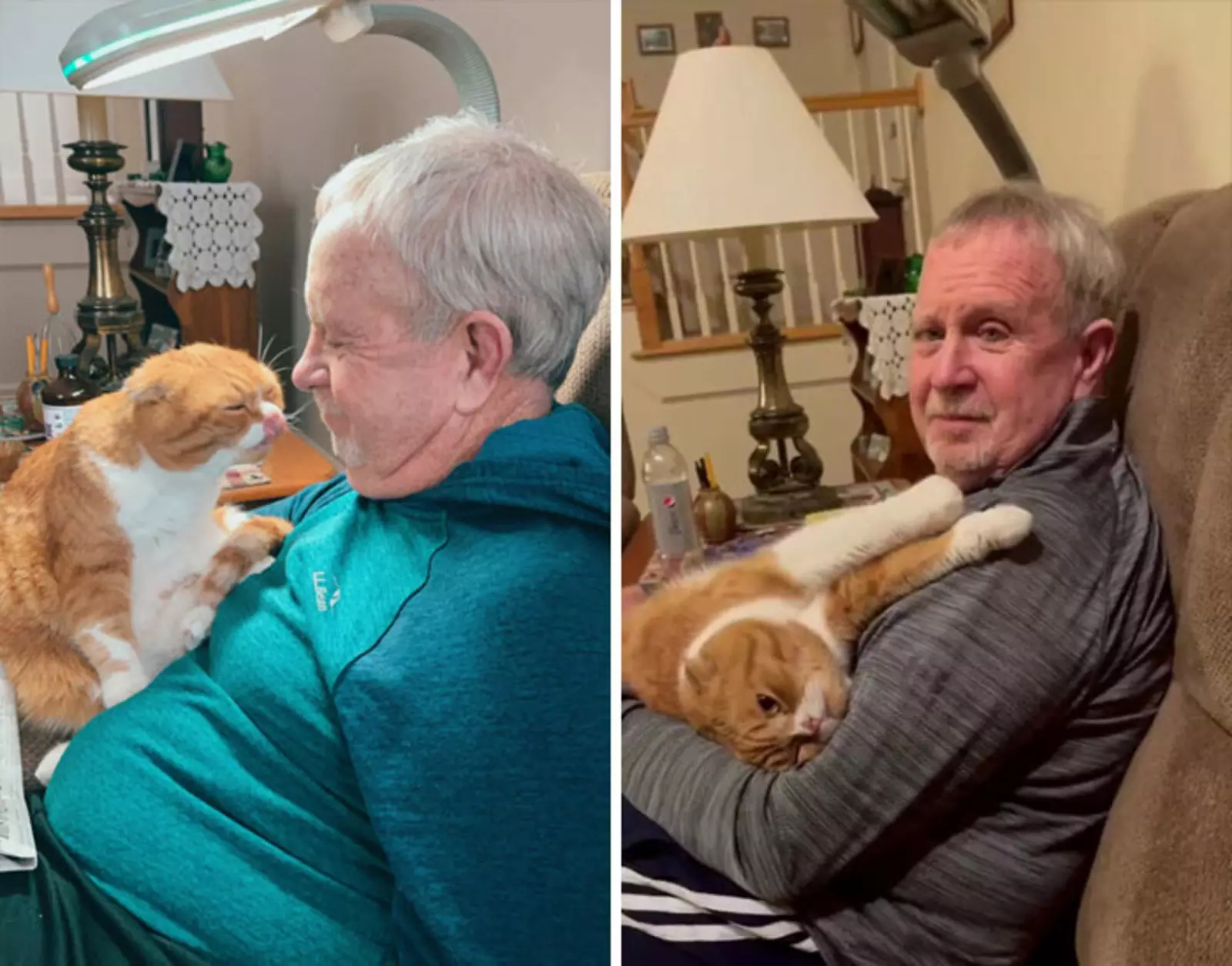 «Кот отказывается покидать нашего дедушку, который борется с раком».