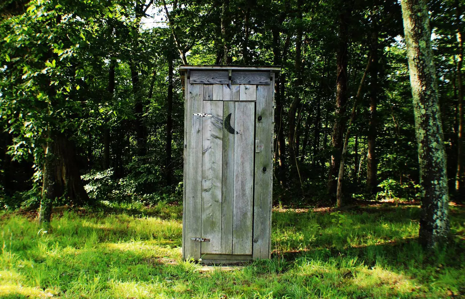 Деревянный туалет с дыркой в полу