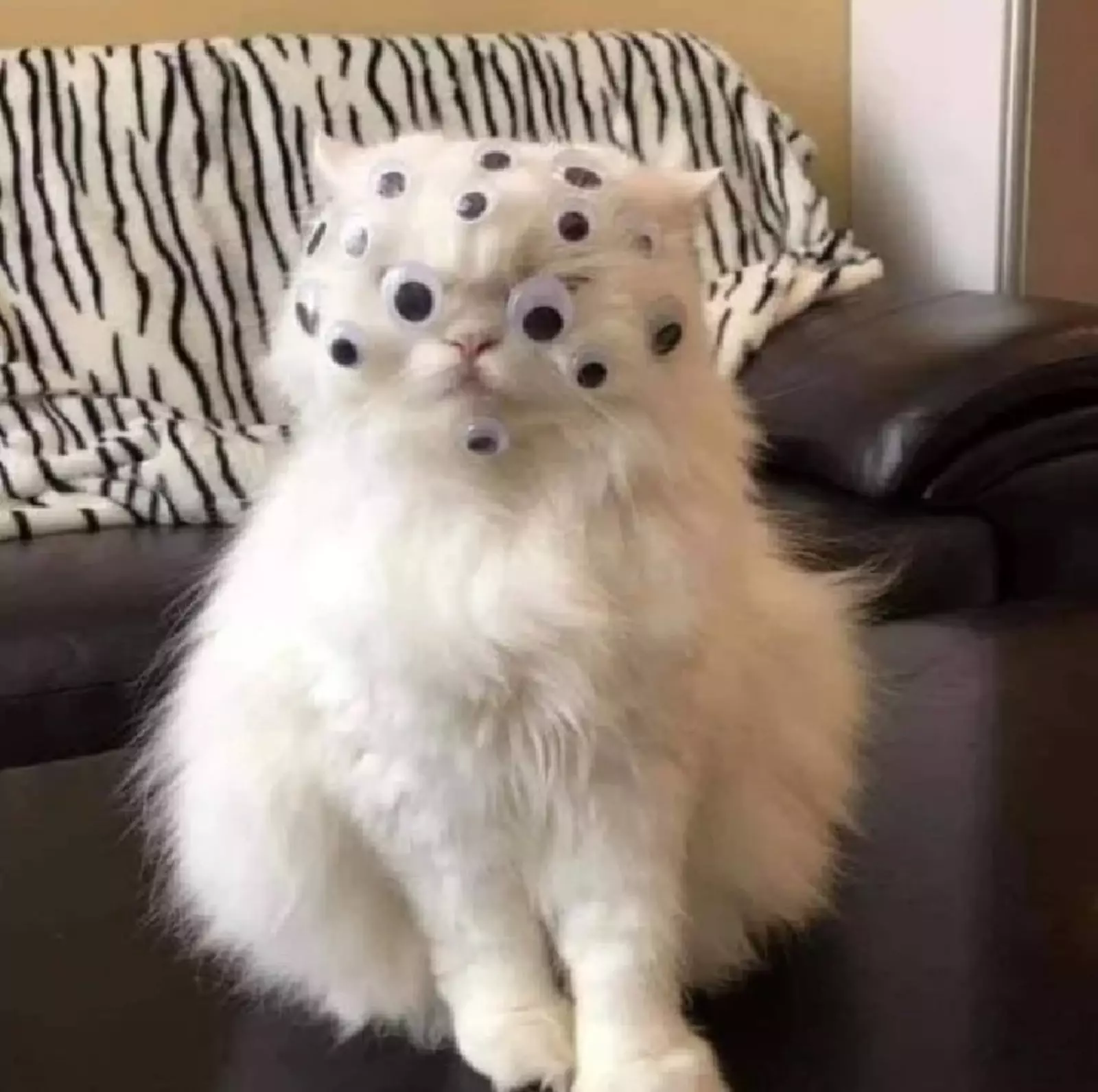 Жуть-то какая. Жуть-то какая.