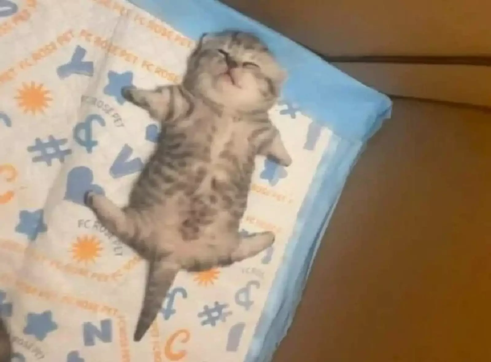 Отрубился. Отрубился.