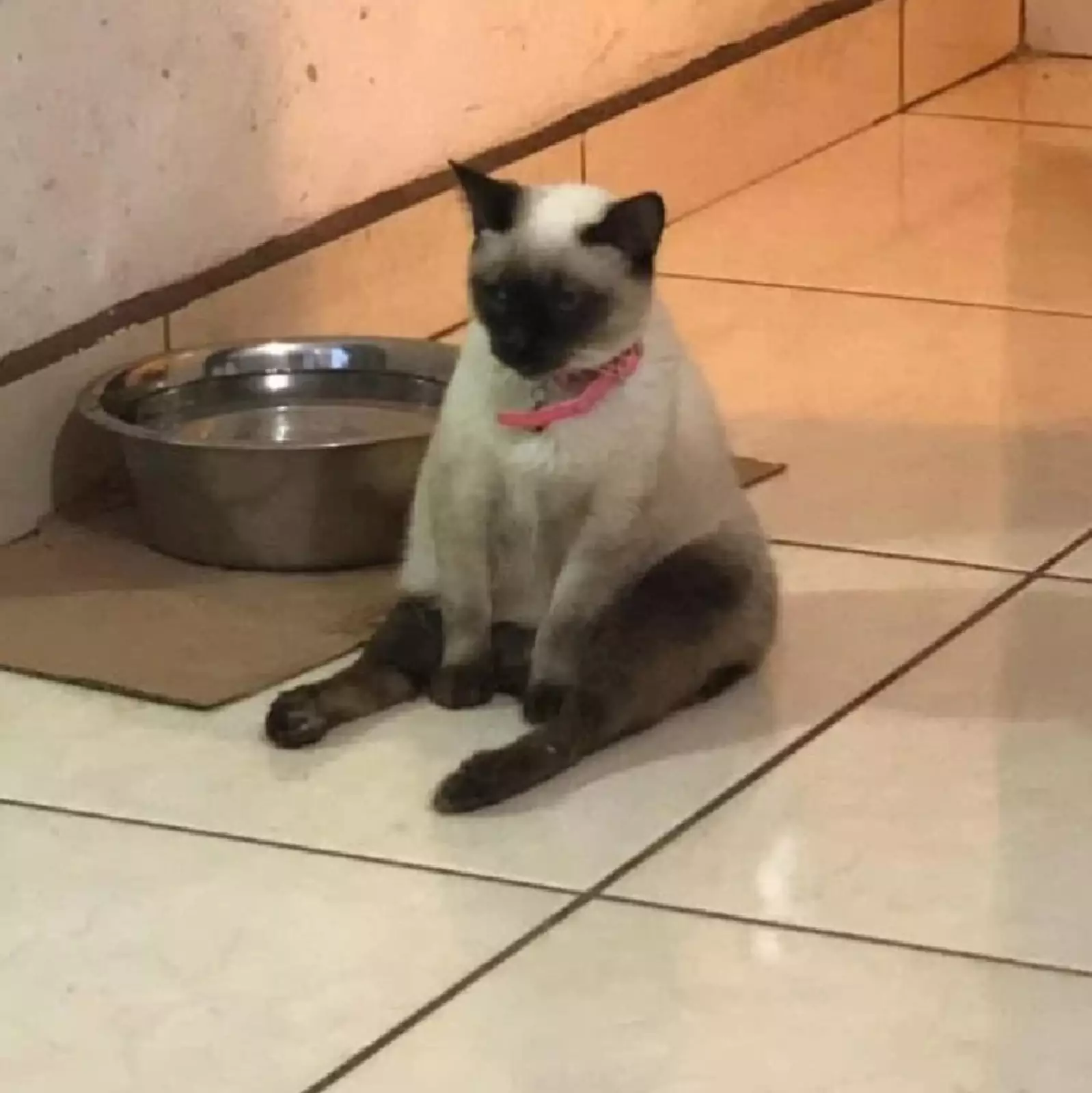 Когда до ужина еще несколько часов, а ты уже проголодался. Когда до ужина еще несколько часов, а ты уже проголодался.