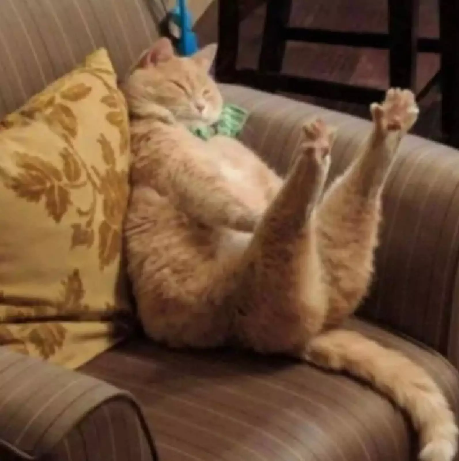 Растяжка пальчиков. Растяжка пальчиков.