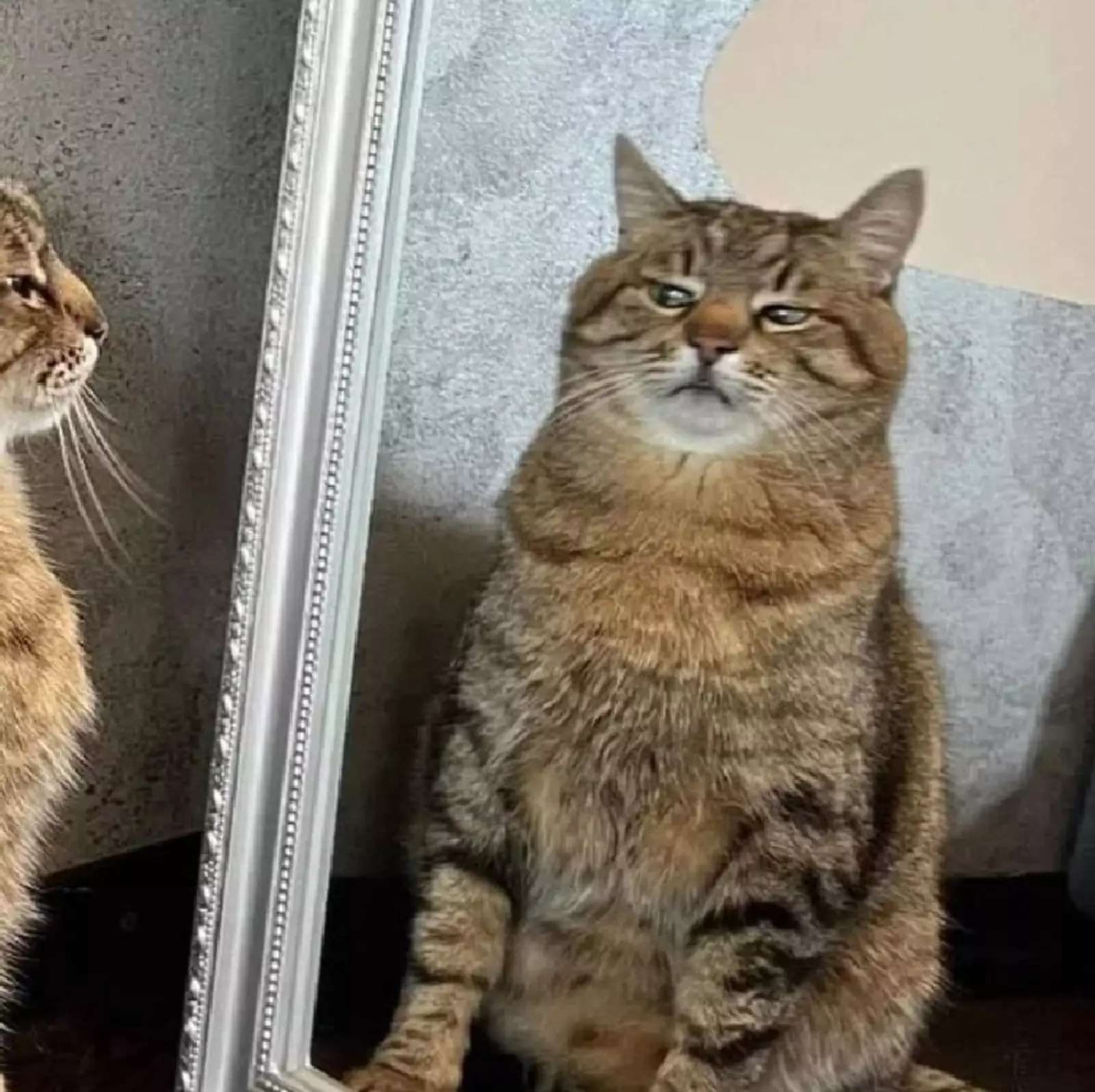 Когда увидел в зеркале подозрительного типа. Когда увидел в зеркале подозрительного типа.