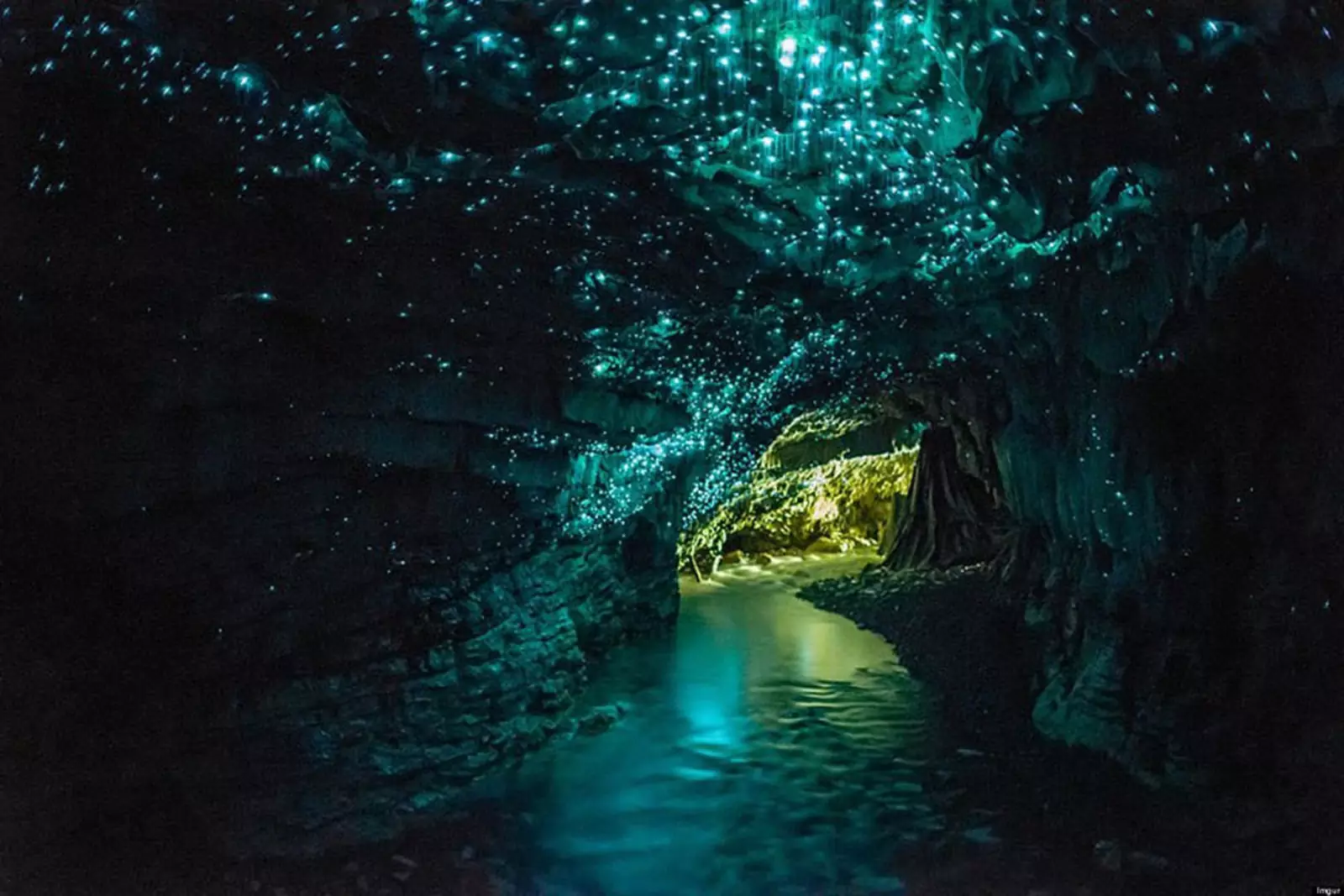 Пещера светлячков, Новая Зеландия.