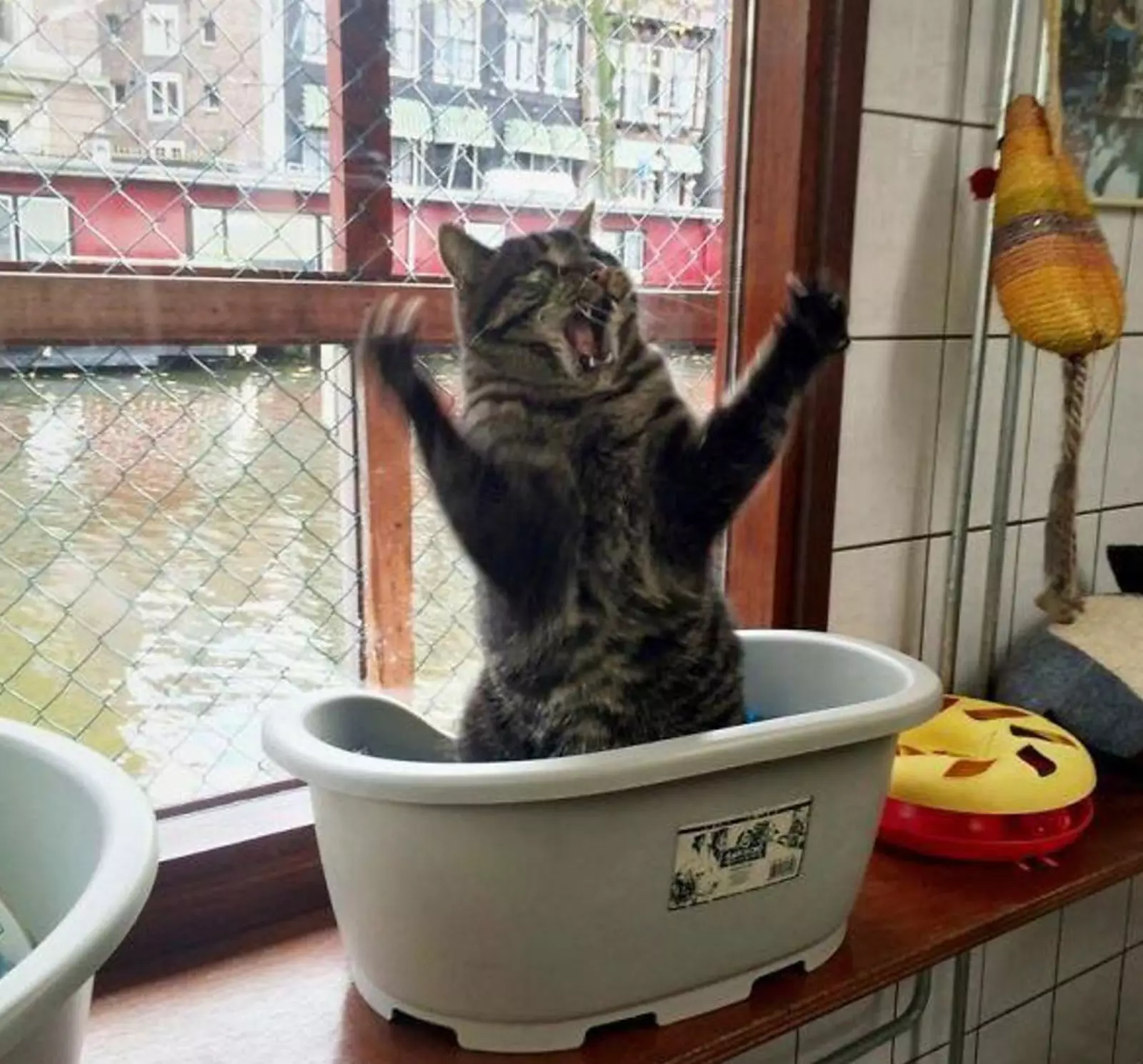 «Вот такая была рыба!» «Вот такая была рыба!»