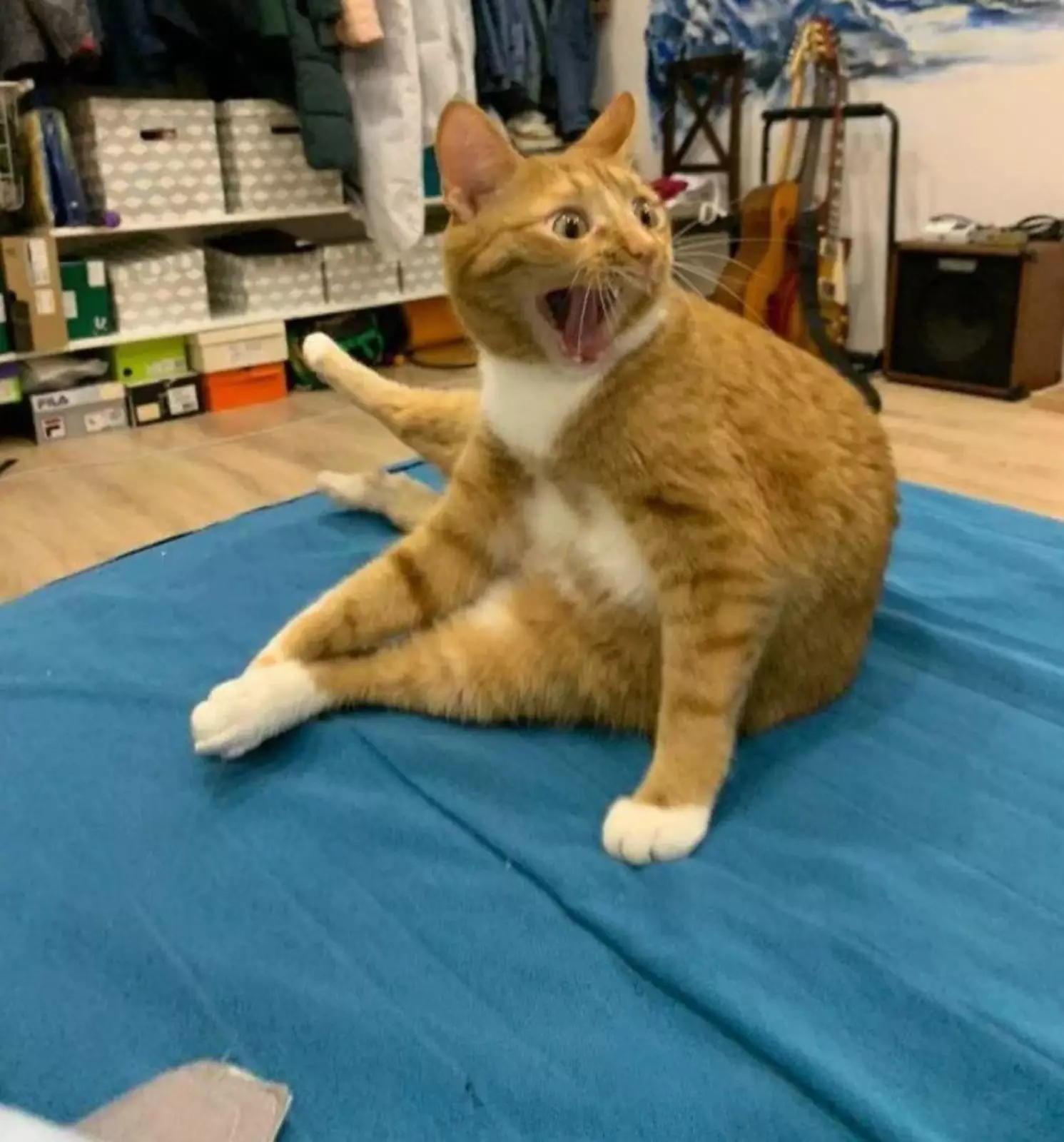 «Ты что наденешь брюки с этой рубашкой? Нет, я запрещаю». «Ты что наденешь брюки с этой рубашкой? Нет, я запрещаю».