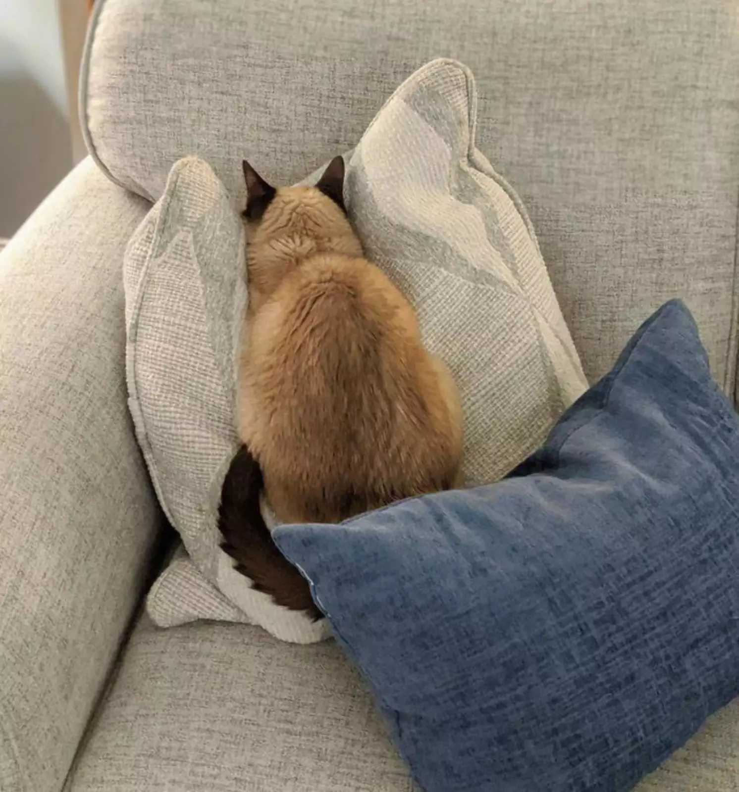 «Уходи, не хочу тебя видеть». «Уходи, не хочу тебя видеть».