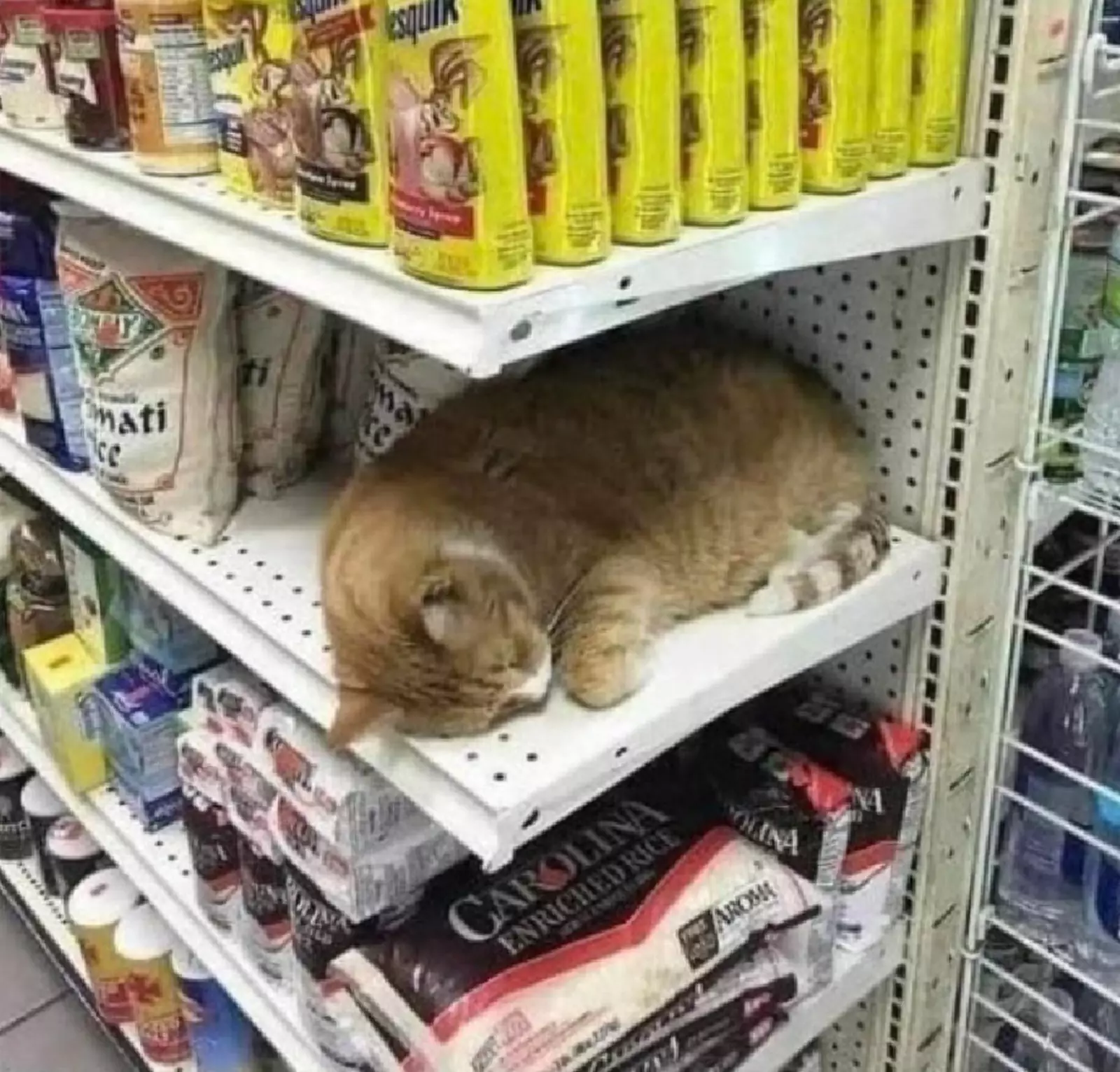 Товара лучше на полках магазинов не найти. Товара лучше на полках магазинов не найти.