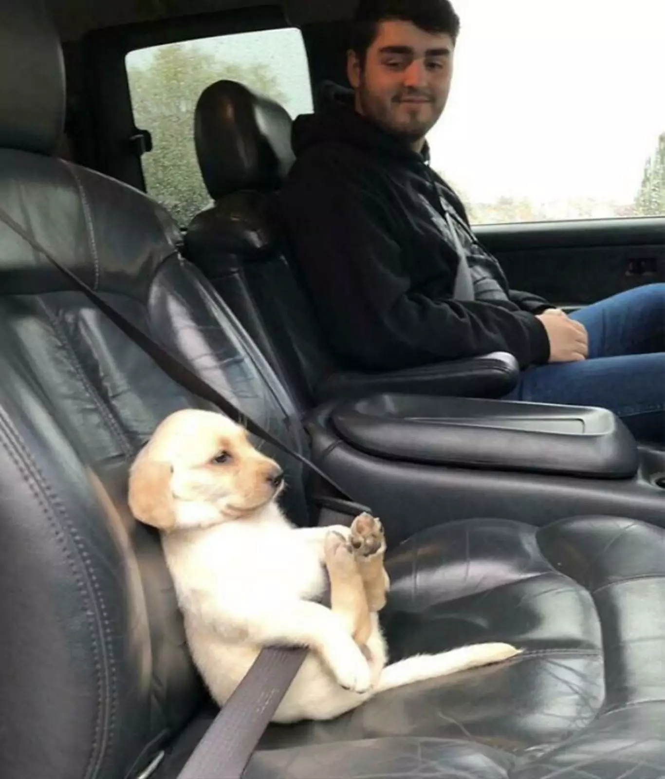 Безопасность превыше всего. Безопасность превыше всего.