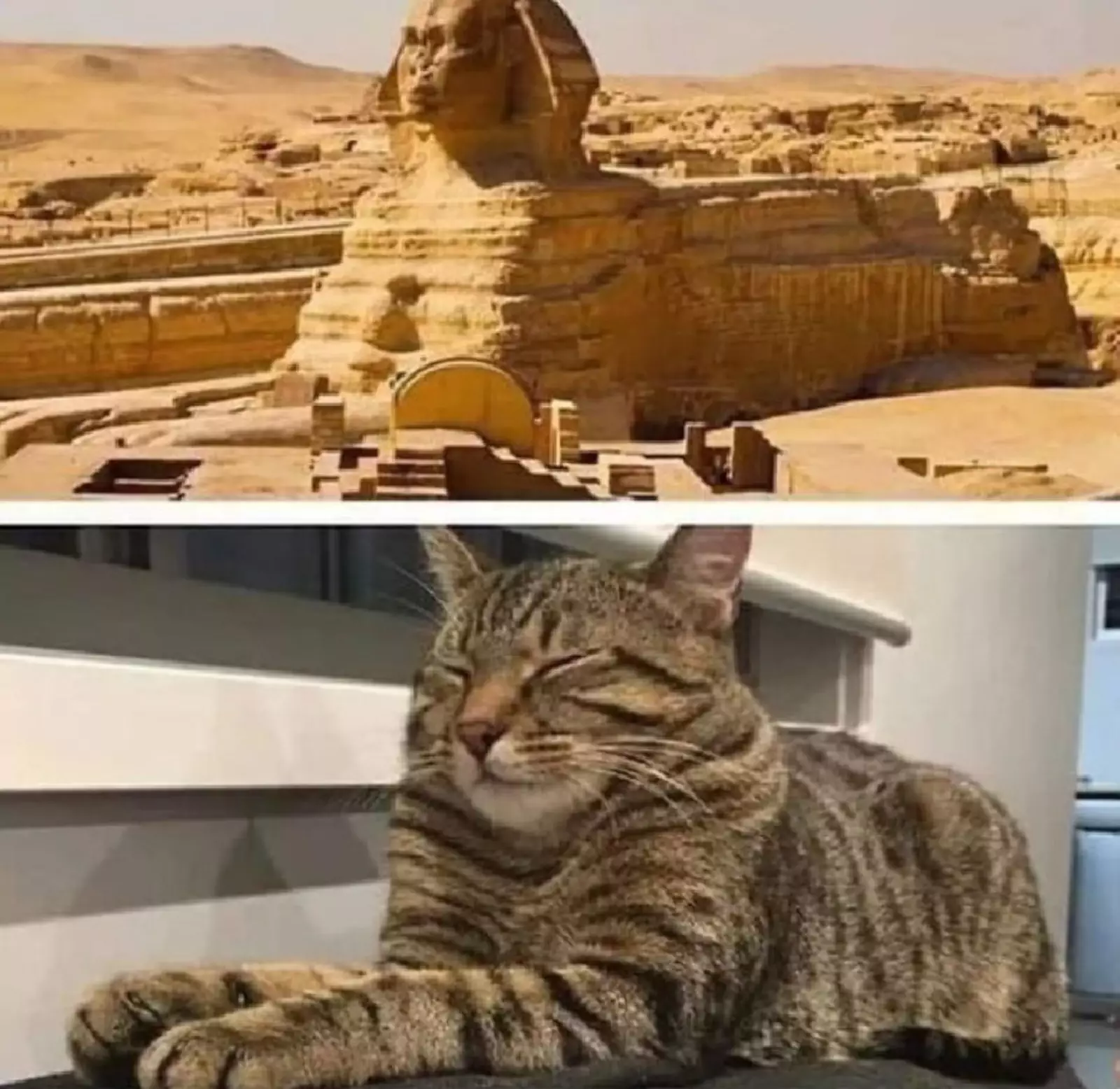 Маленький сфинкс. Маленький сфинкс.