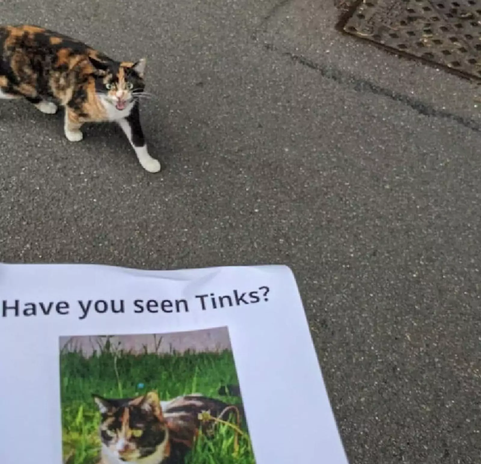 «Ты меня не видел!» «Ты меня не видел!»