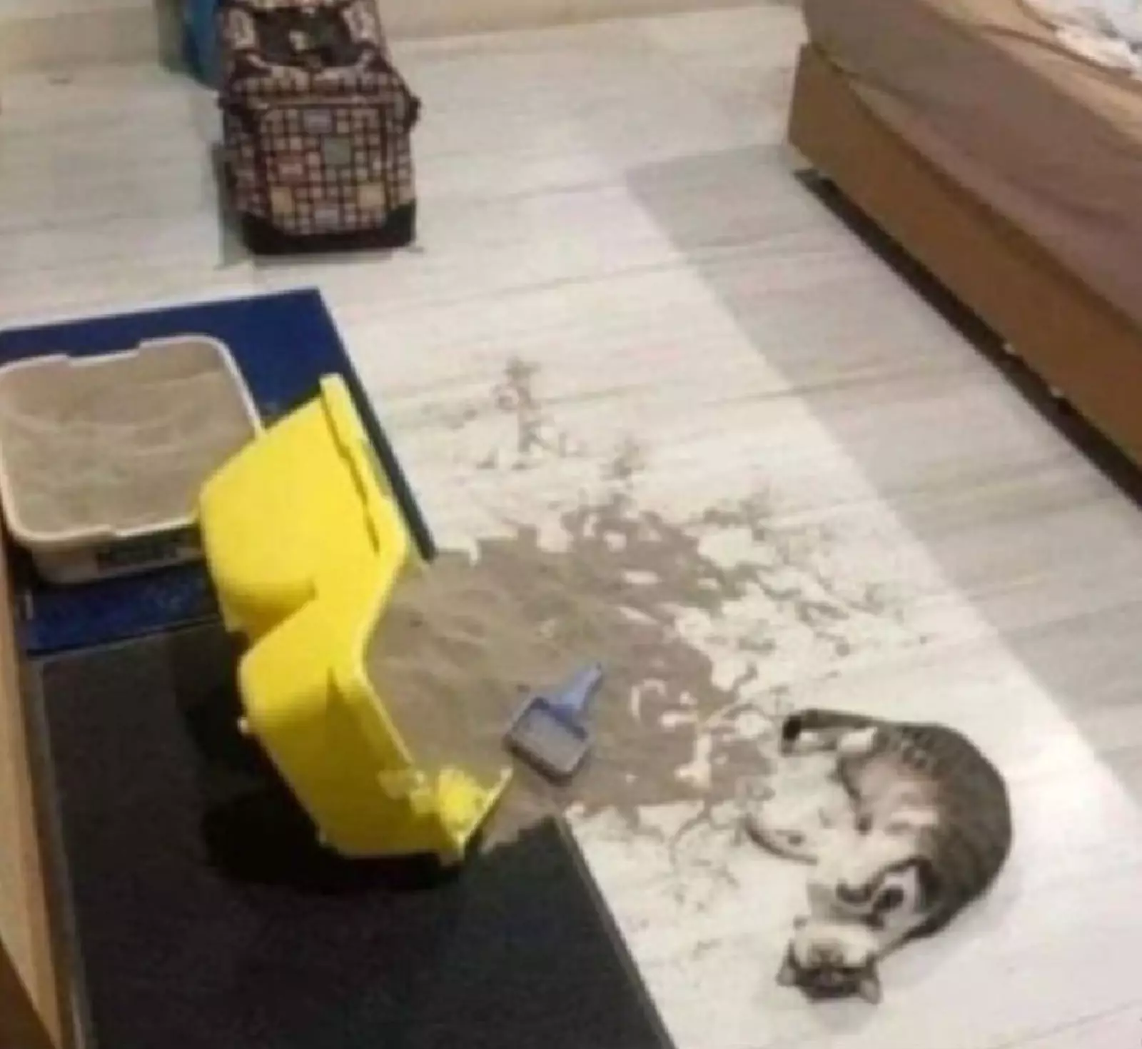 «Я не виноват, ты же знаешь». «Я не виноват, ты же знаешь».