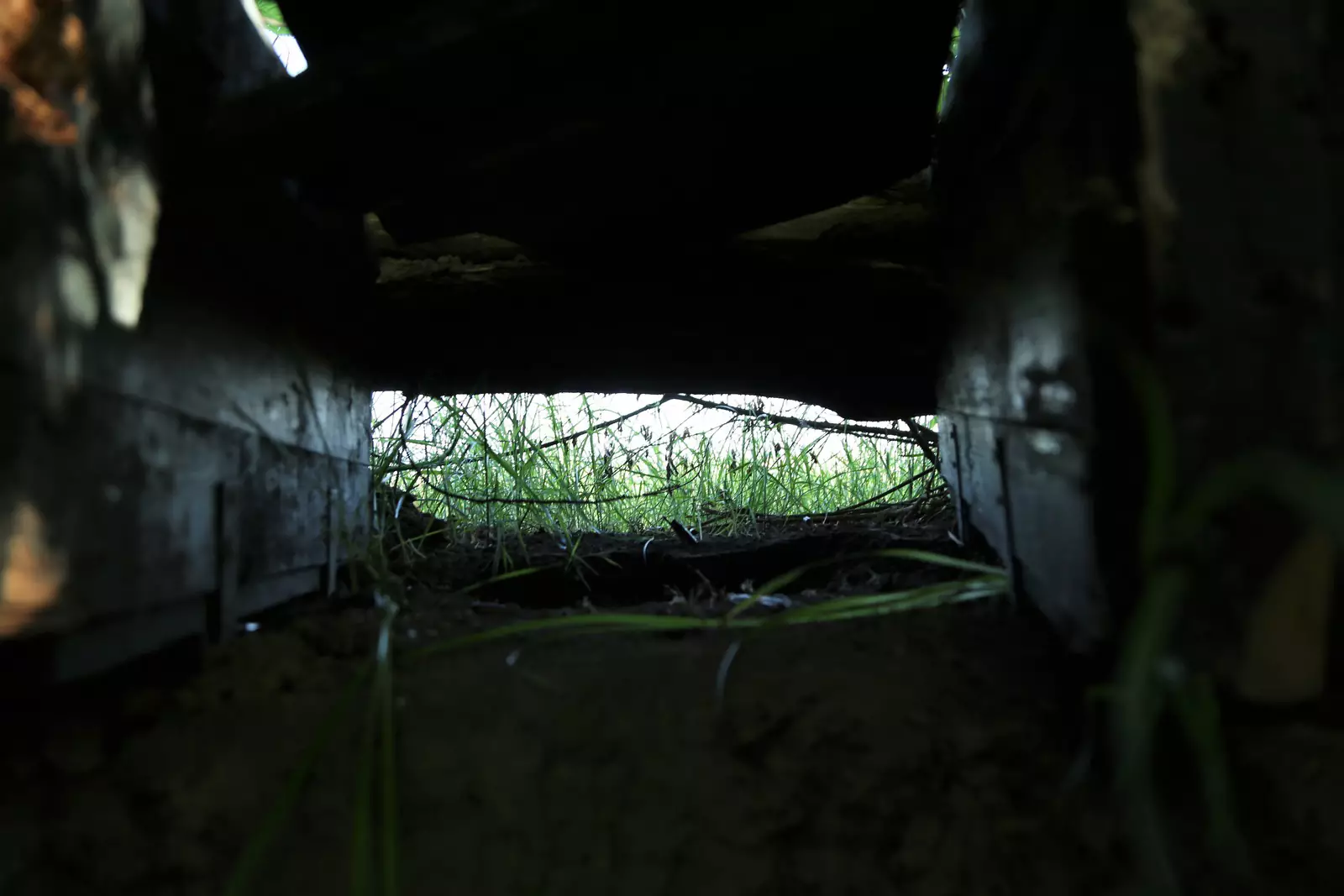 На передовой На передовой