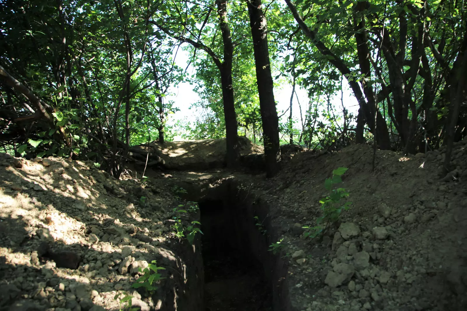 НП Эспаньолы НП Эспаньолы