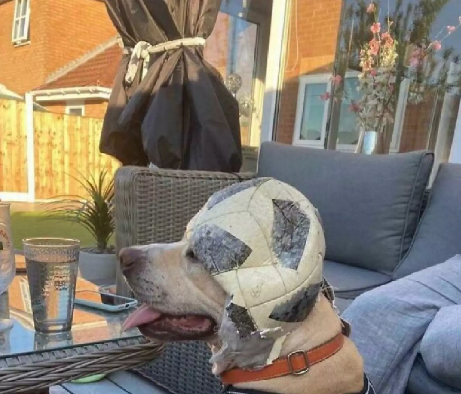 Лучше, чем шапочка из фольги. Лучше, чем шапочка из фольги.