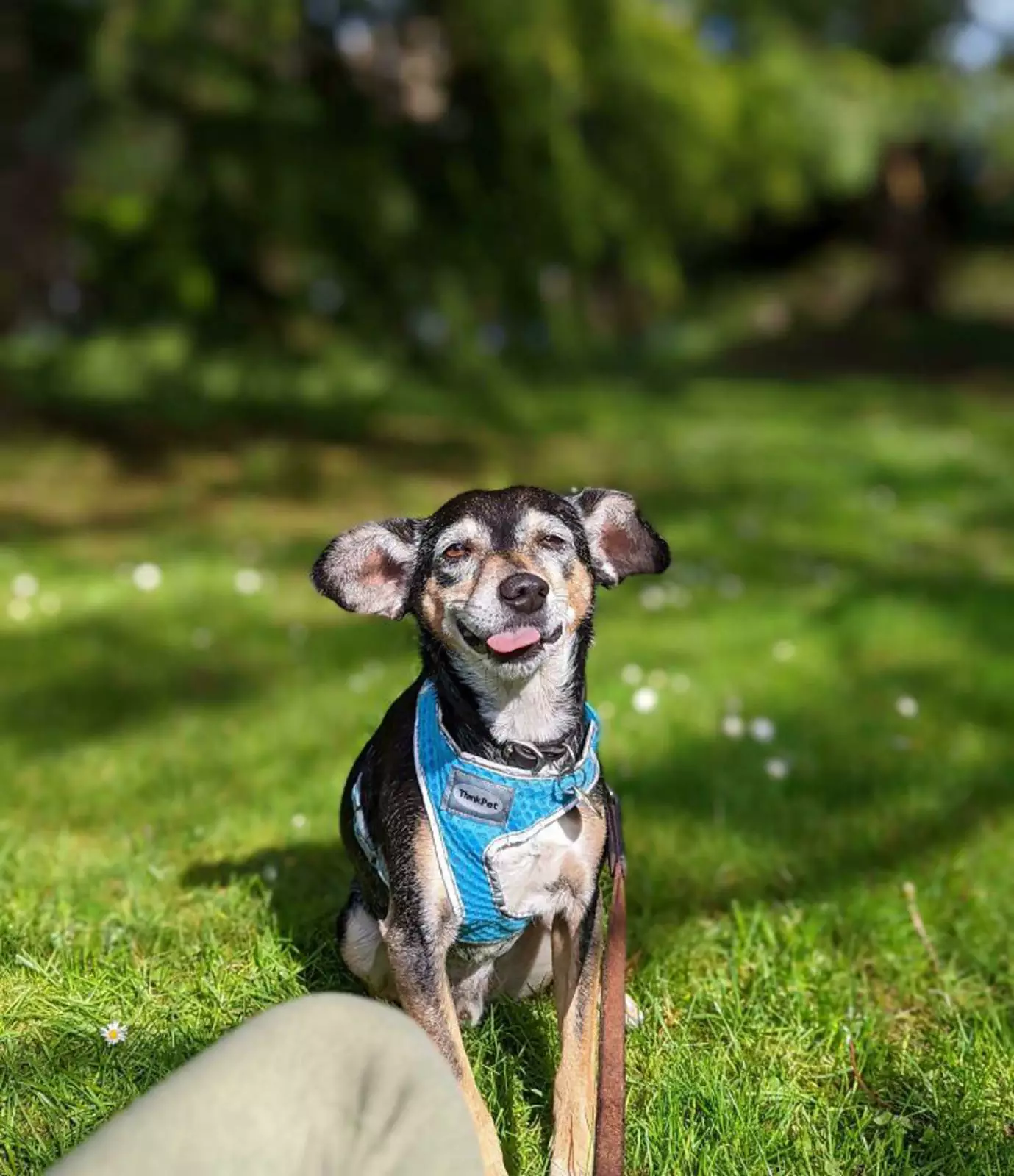 «Мы сфотографировали его во время чихания». «Мы сфотографировали его во время чихания».