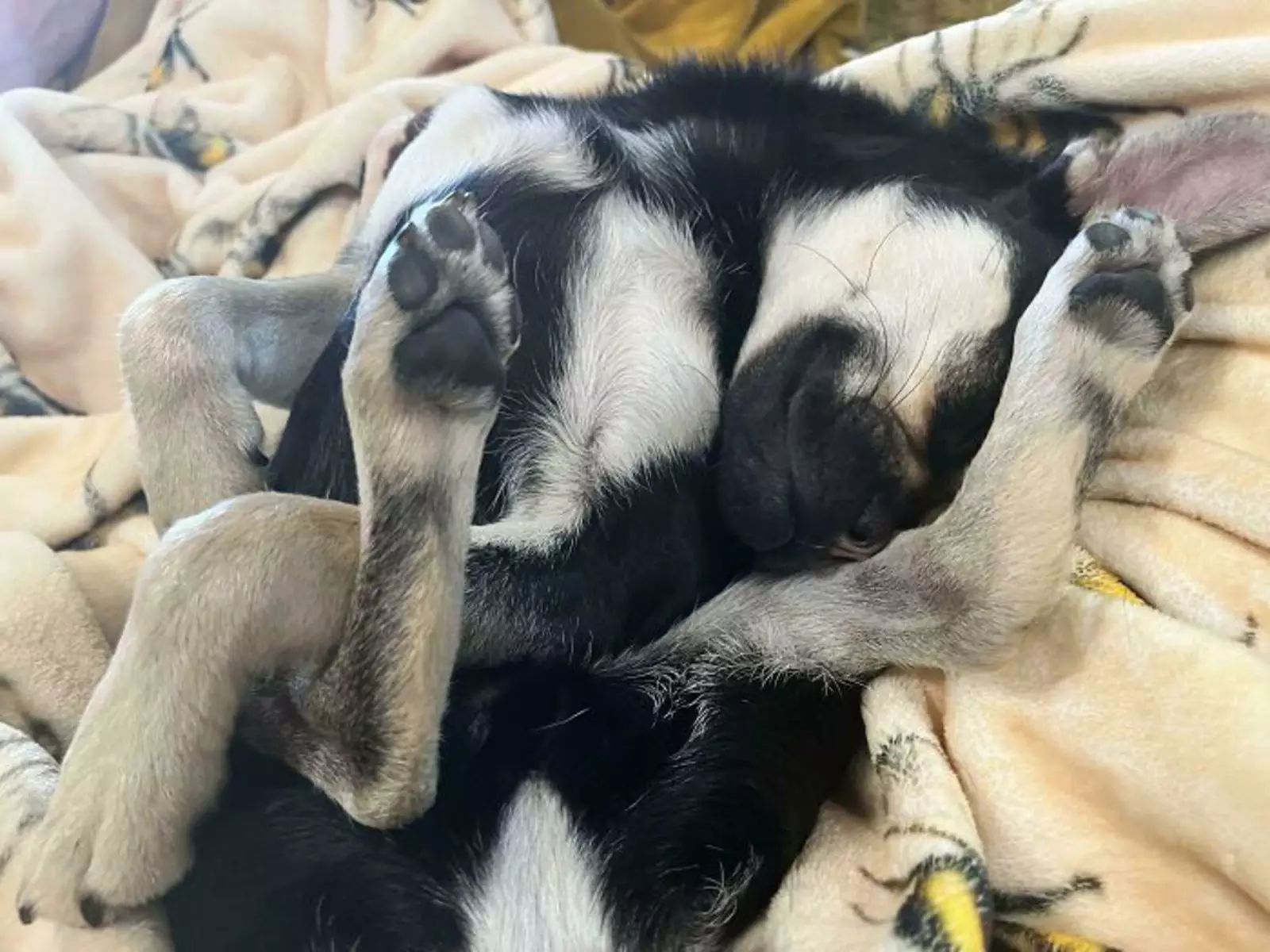 «Просто йога или пора вызывать экзорциста?» «Просто йога или пора вызывать экзорциста?»